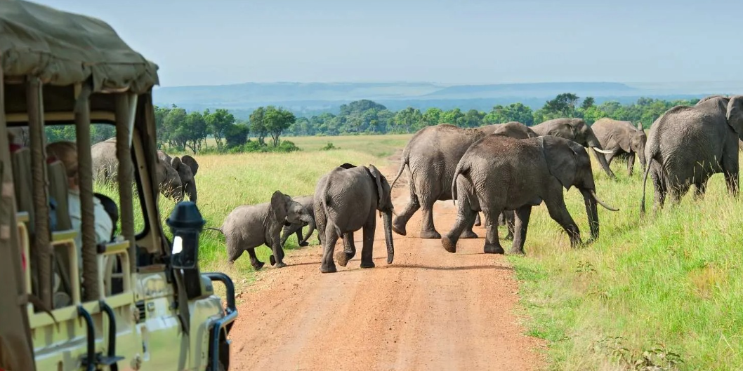 Is Uganda affordable for self-drive safaris? – Uganda blog