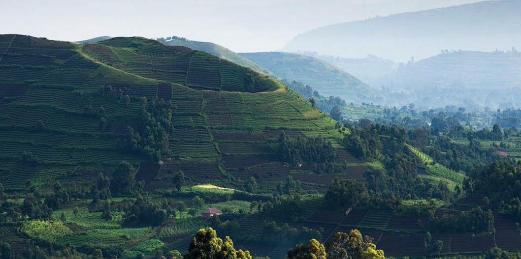 Easy steps of booking a self-drive safari in Uganda – Uganda blog