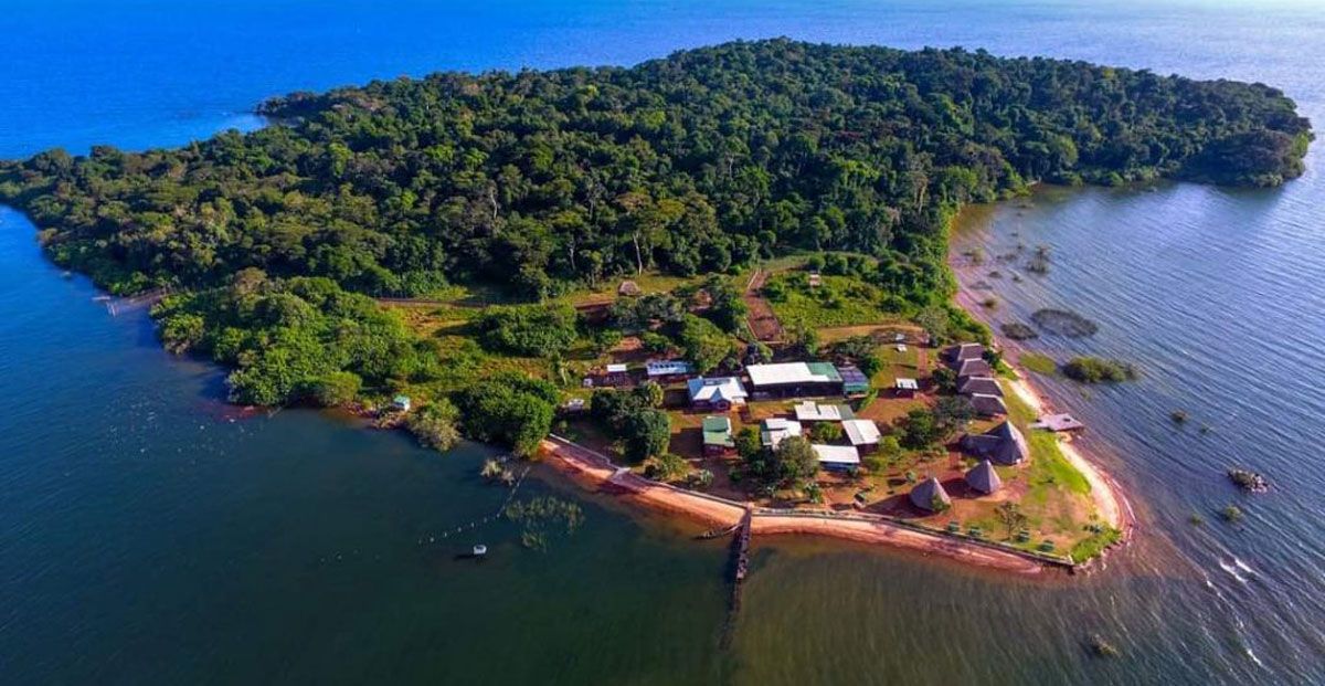 Alpha Rent a Car will take you to Ngamba Island – Uganda blog