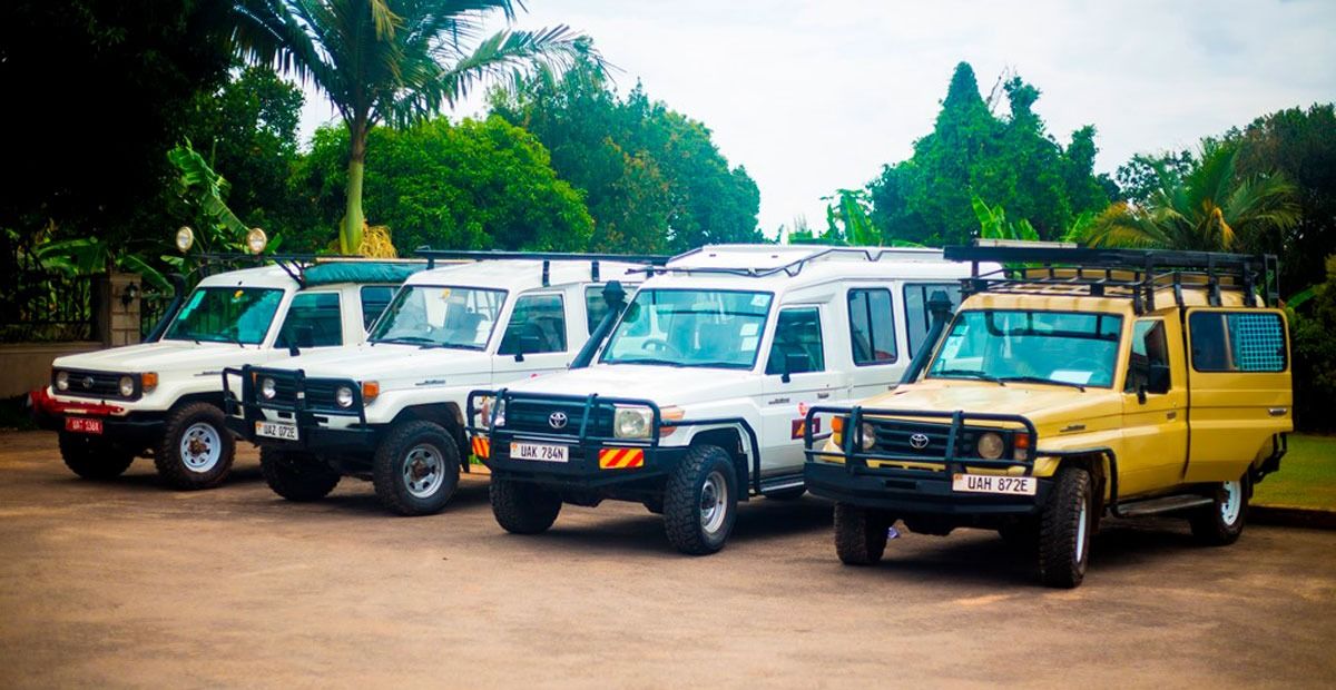 8 Cool Reasons to Choose a Self-Drive Safari – Uganda blog