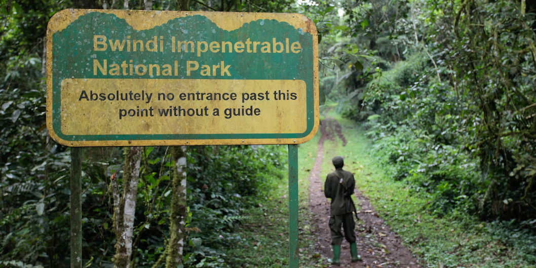 Best Value Budget Lodges and Campsites in Bwindi Impenetrable National Park – Uganda blog
