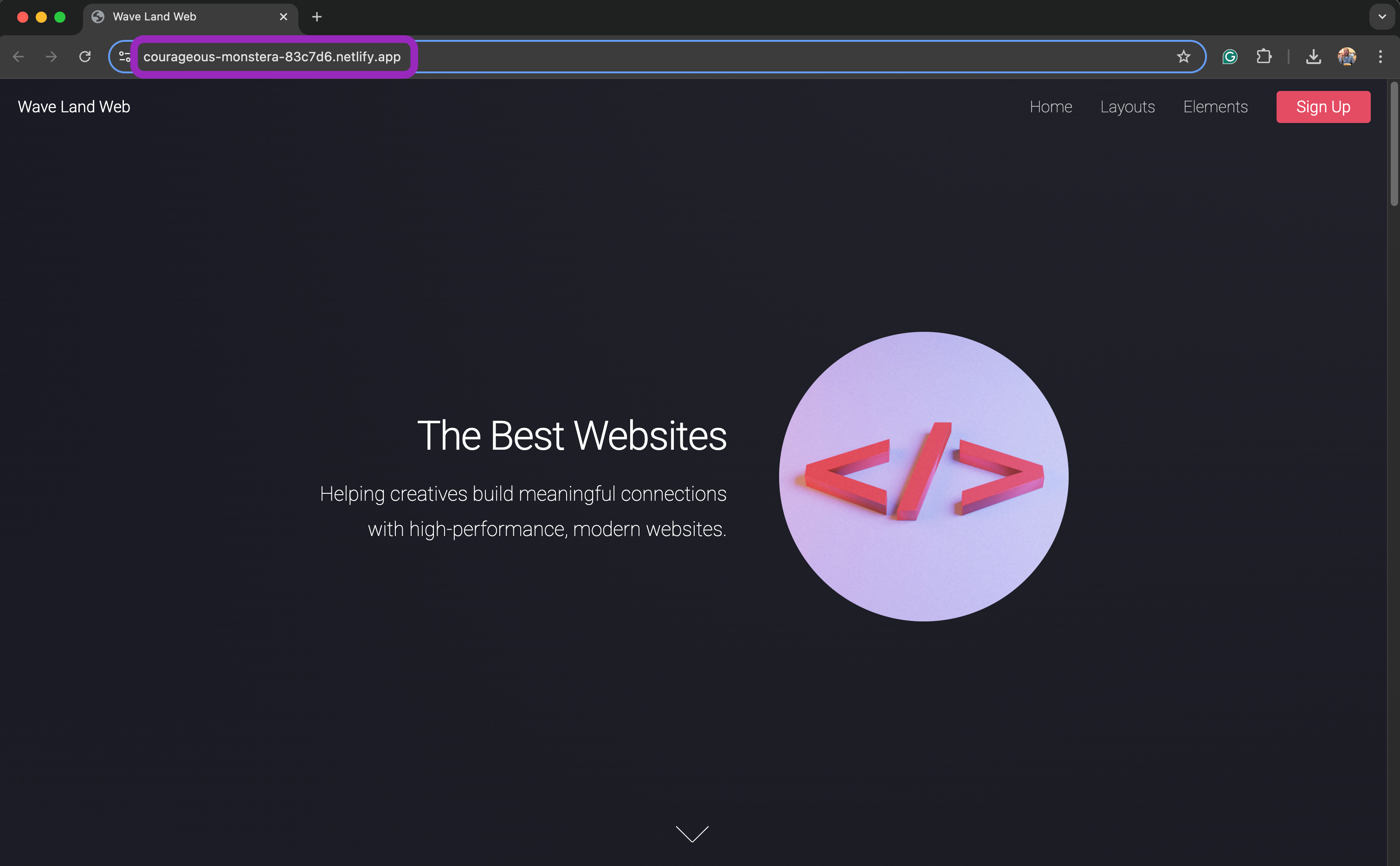 Live site showing Netlify-generated URL