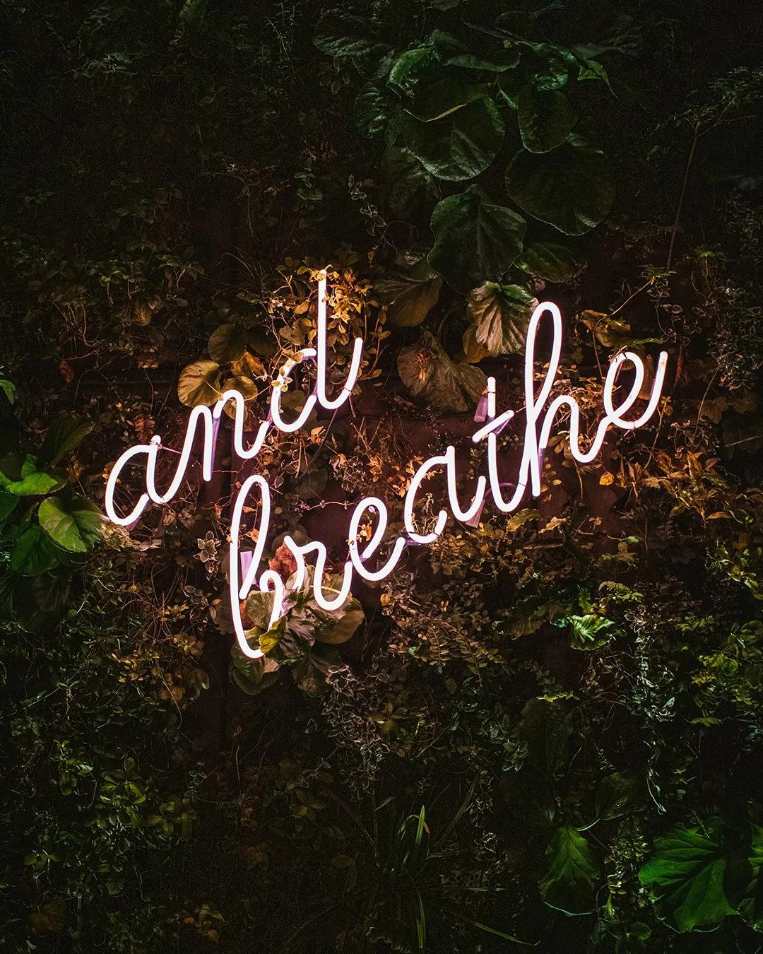 THE POWER OF NASAL BREATHING