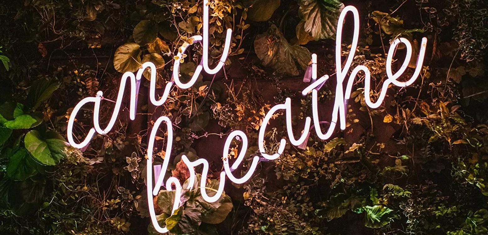 THE POWER OF NASAL BREATHING