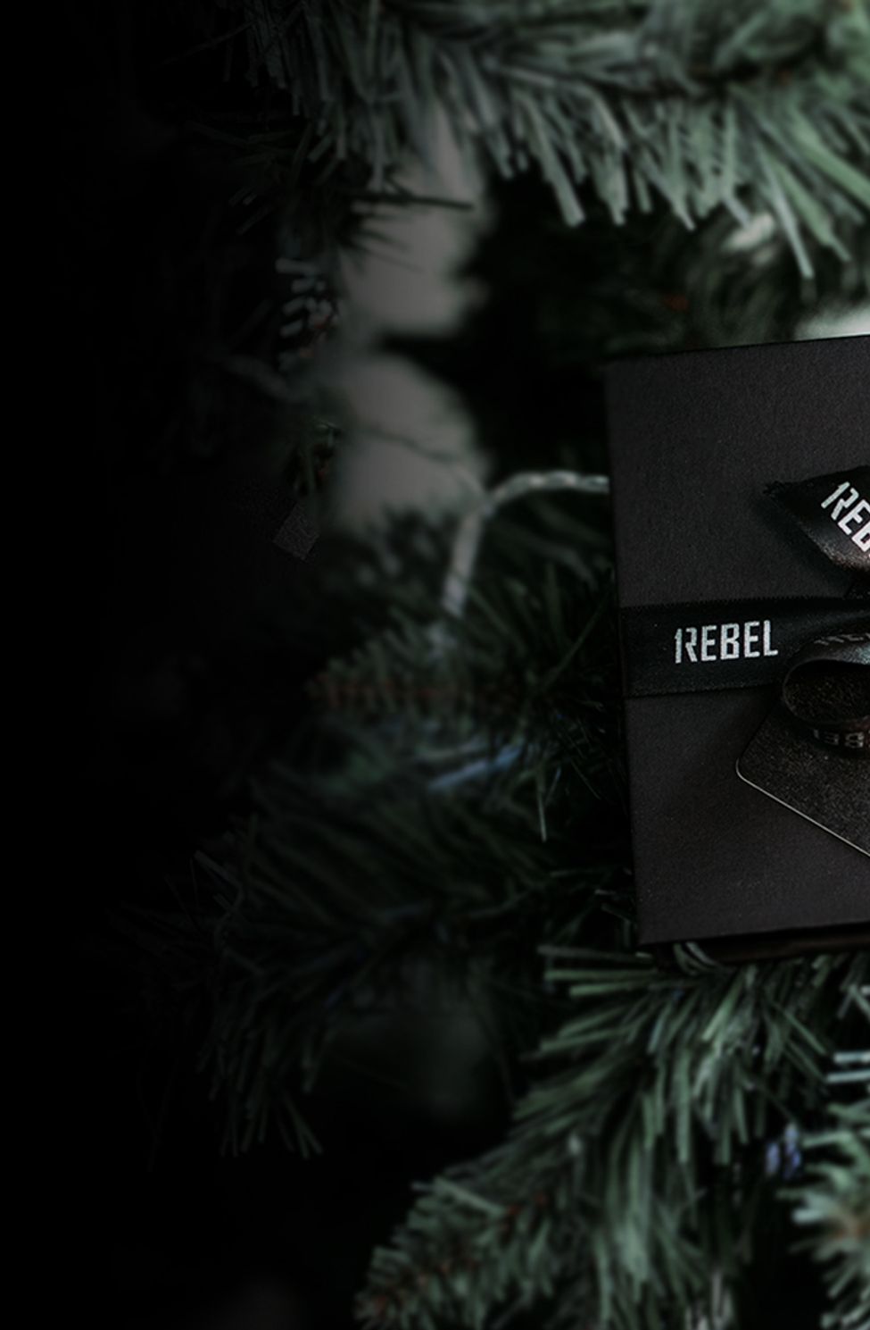 GIVE THE GIFT OF FITNESS