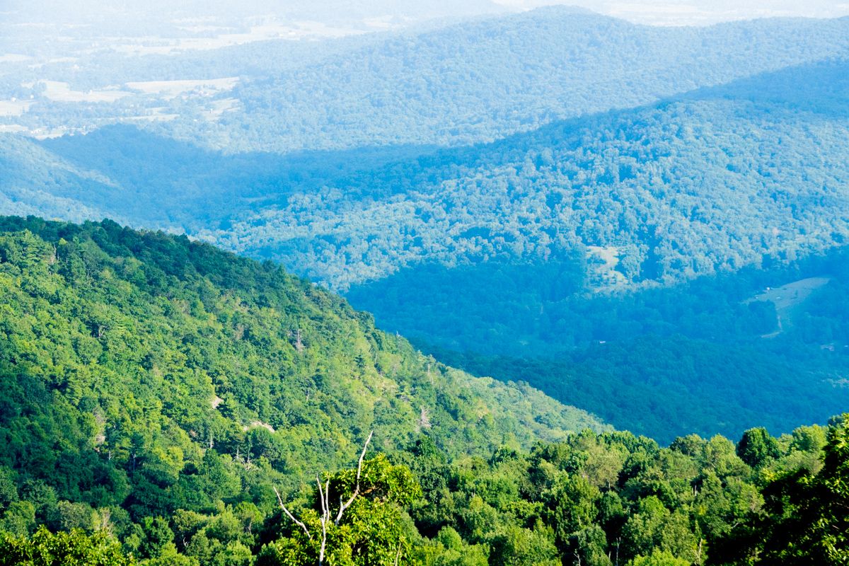 The Blue Ridge Mountains as seen from Skyline Drive in Virginia