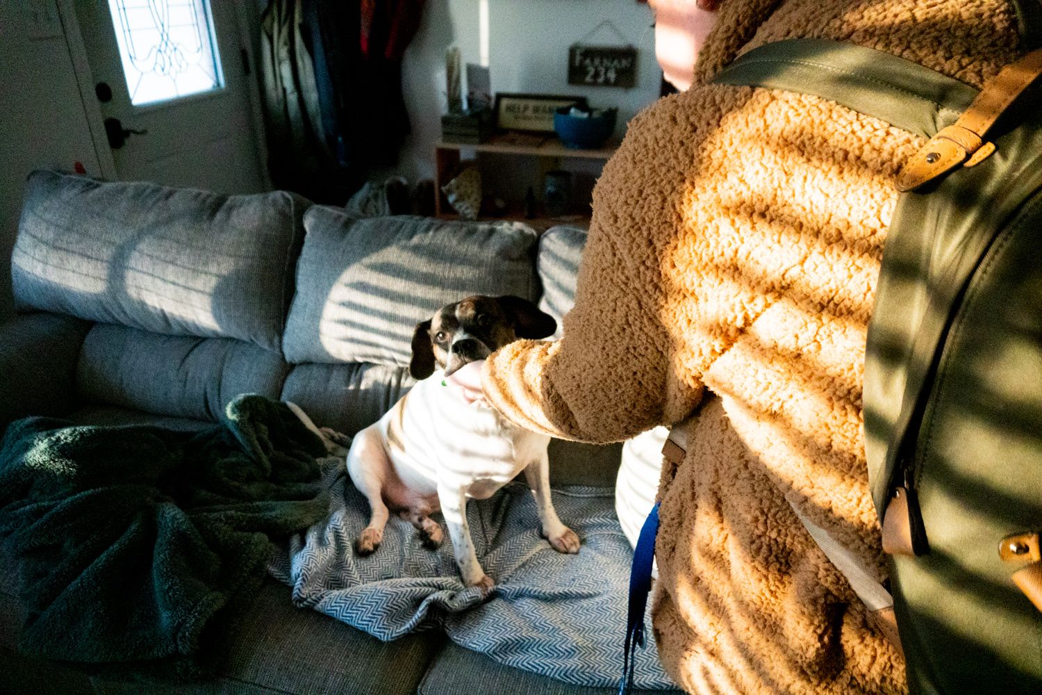 Rocky enjoying some morning scratches