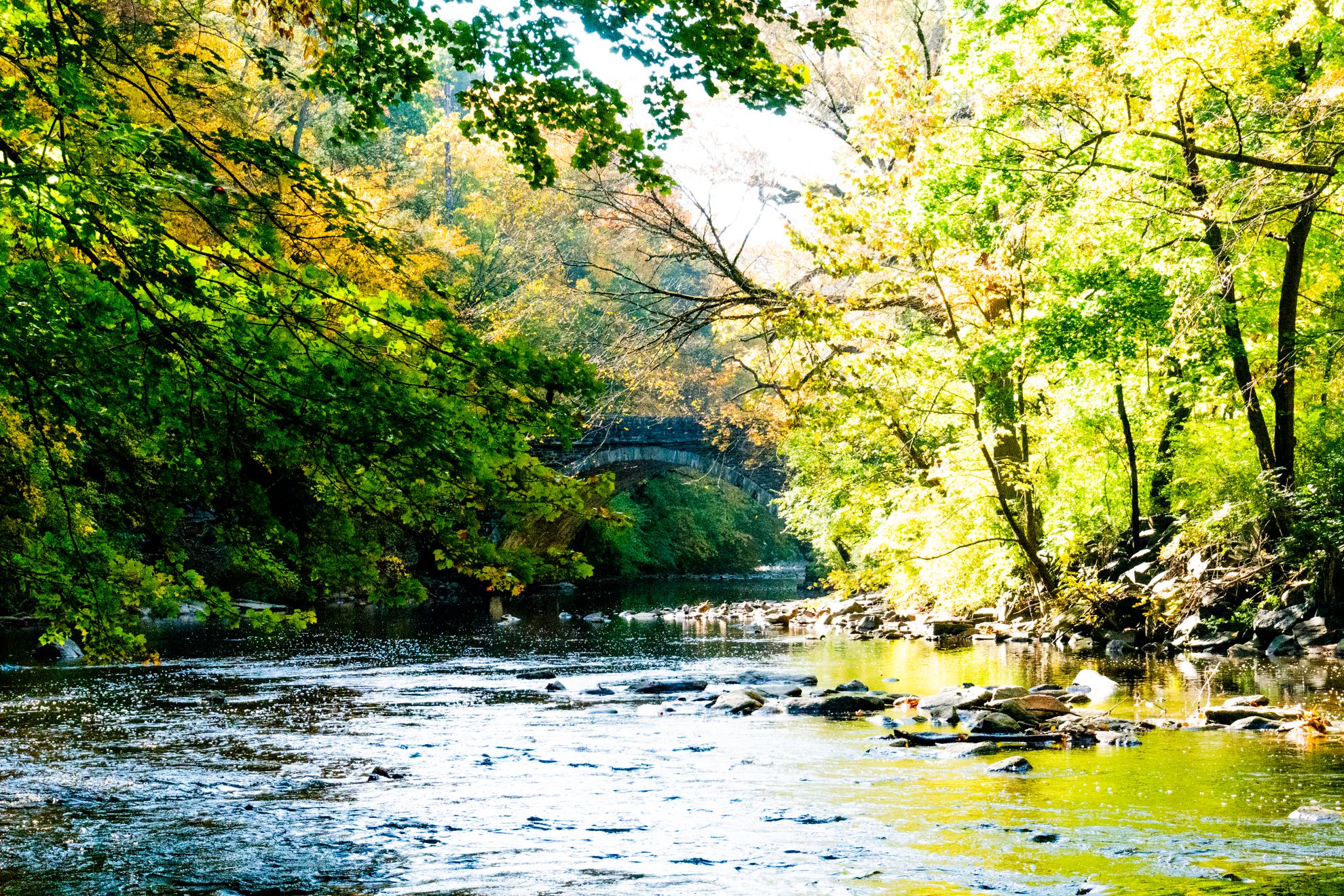 Wissahickon Valley Park as seen from the banks of the Wissahickon Creek in Philadelphia, Pennsylvania