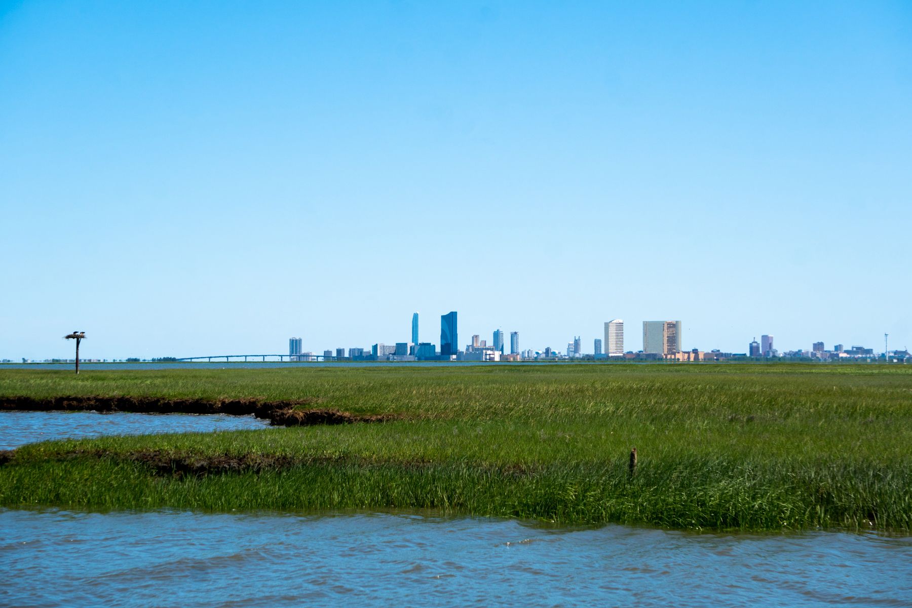 A wider view of the Atlantic City skyline with an osprey nest on the left corner with two ospreys occupying it