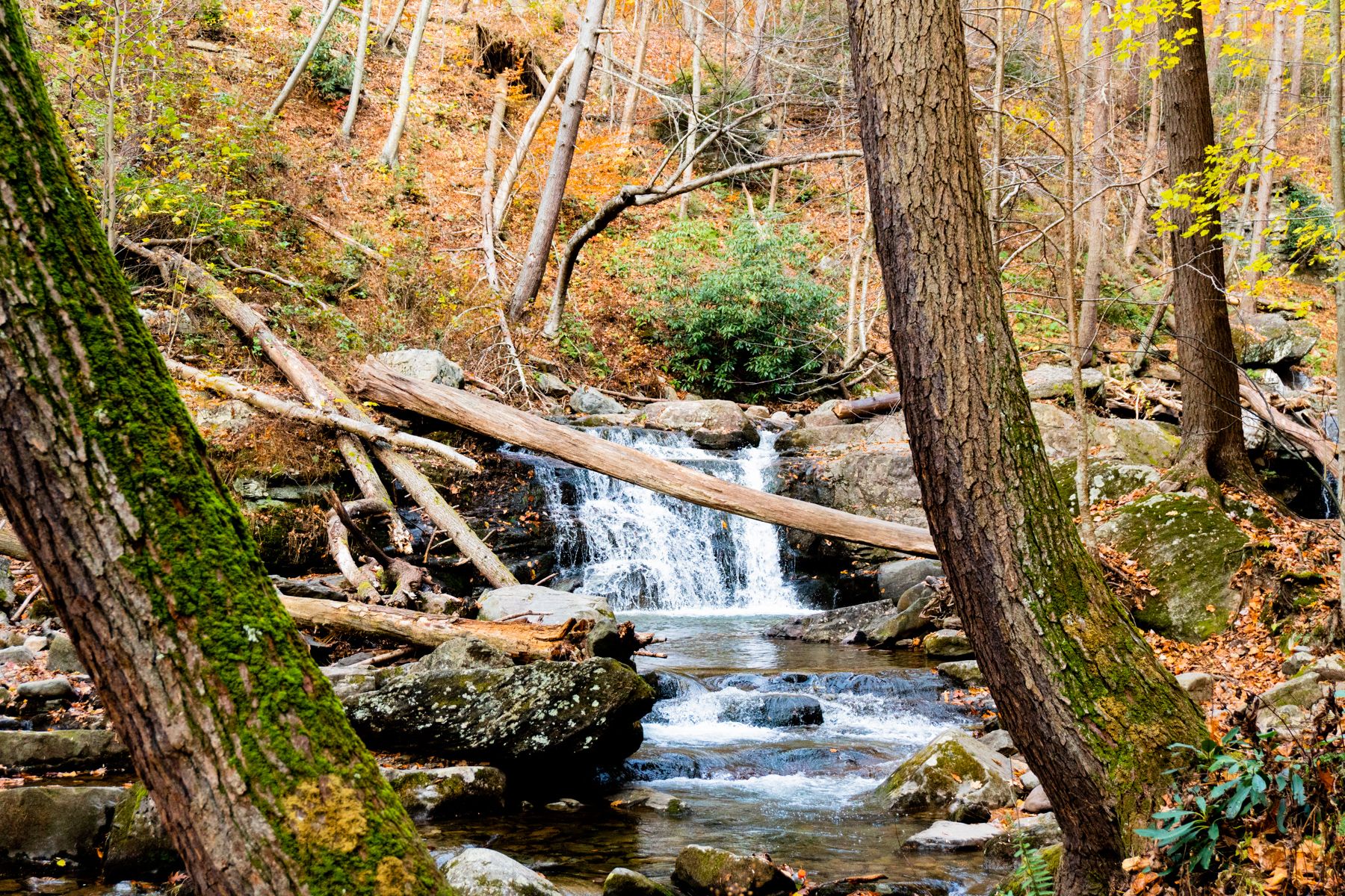 Small waterfall off the Dunnfield Creek trail at the Delaware Water Gap