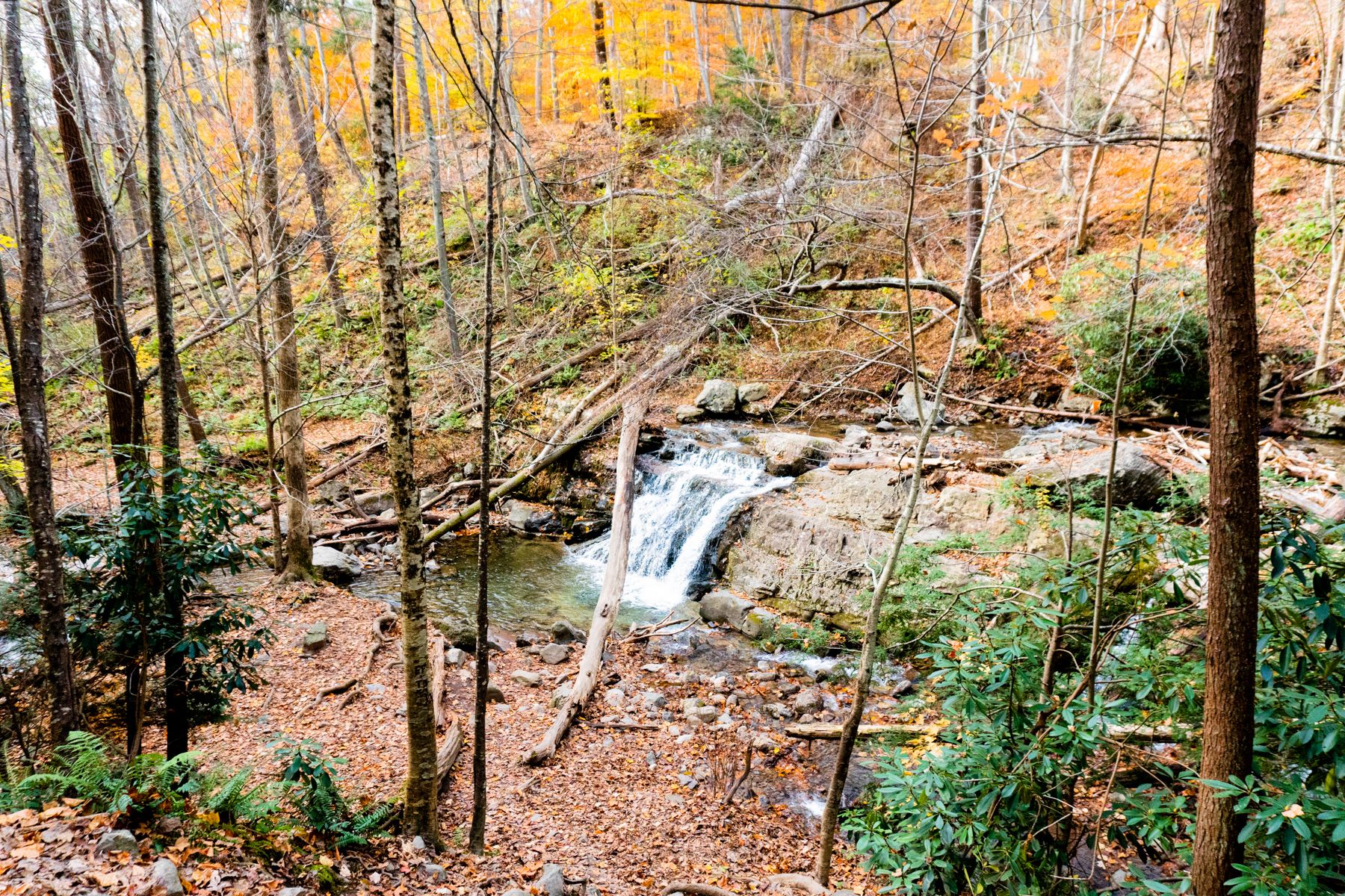 Waterfall as seen from one of the trails at the Delaware Water Gap