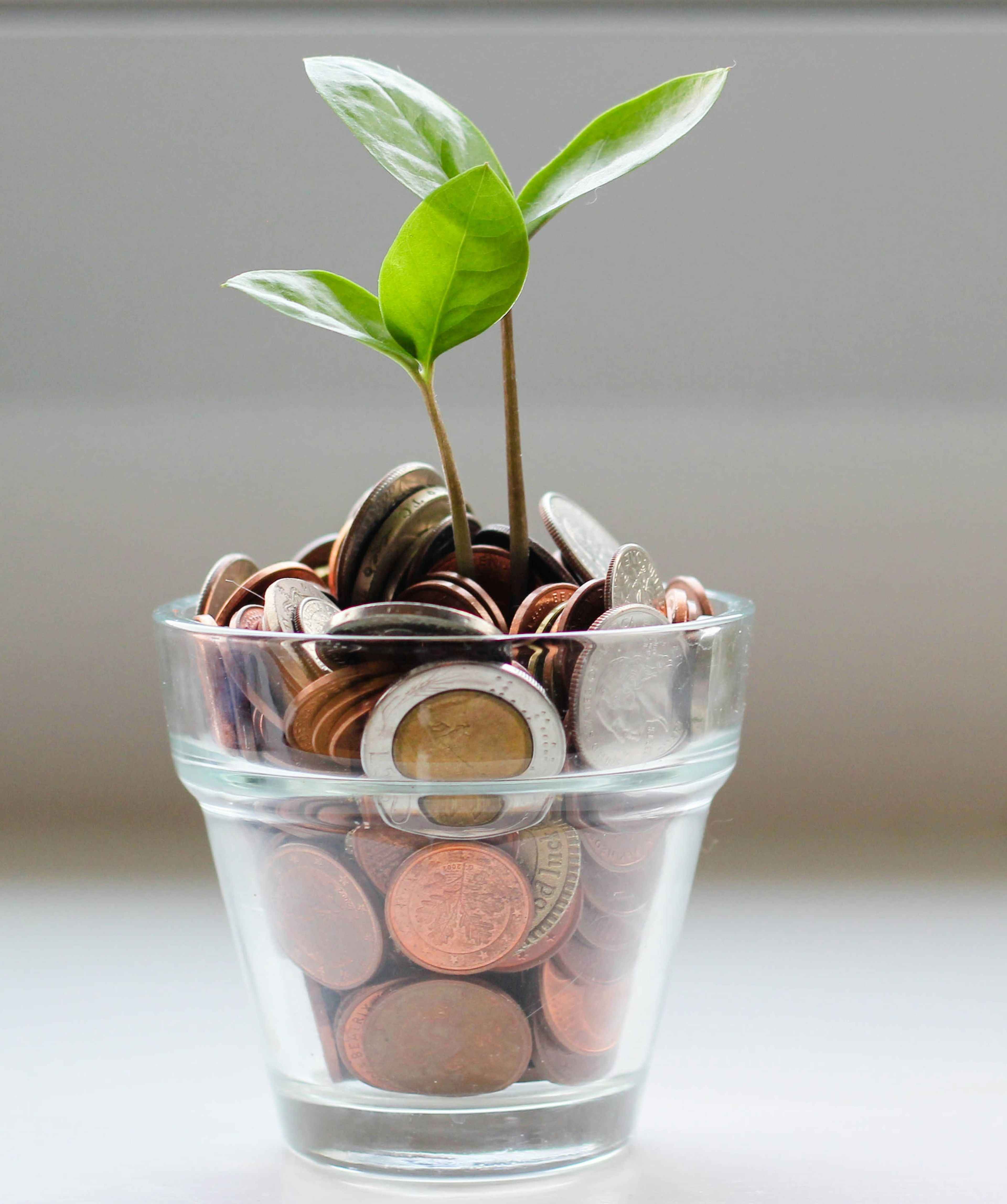 Money savings
