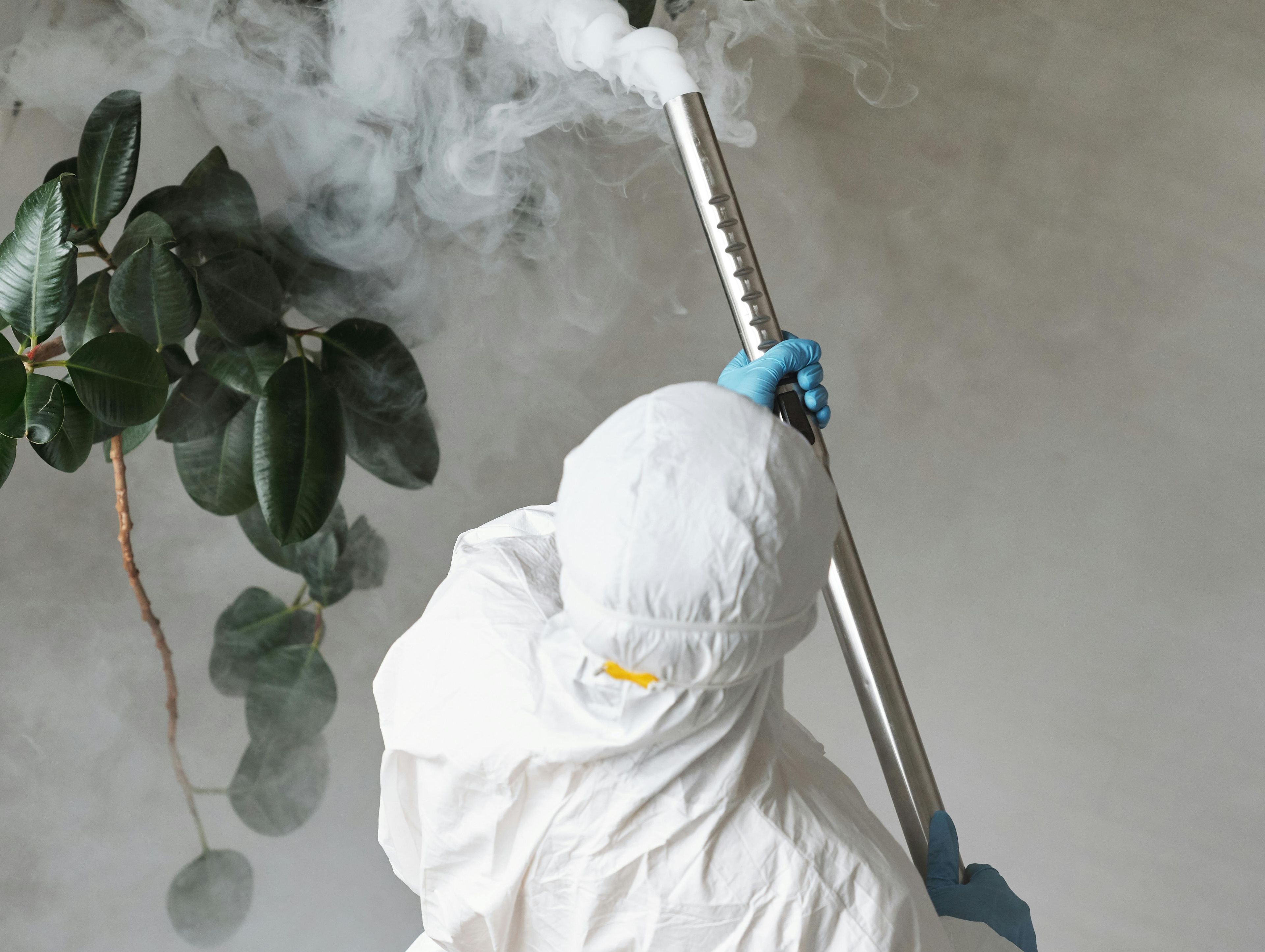 Pest control