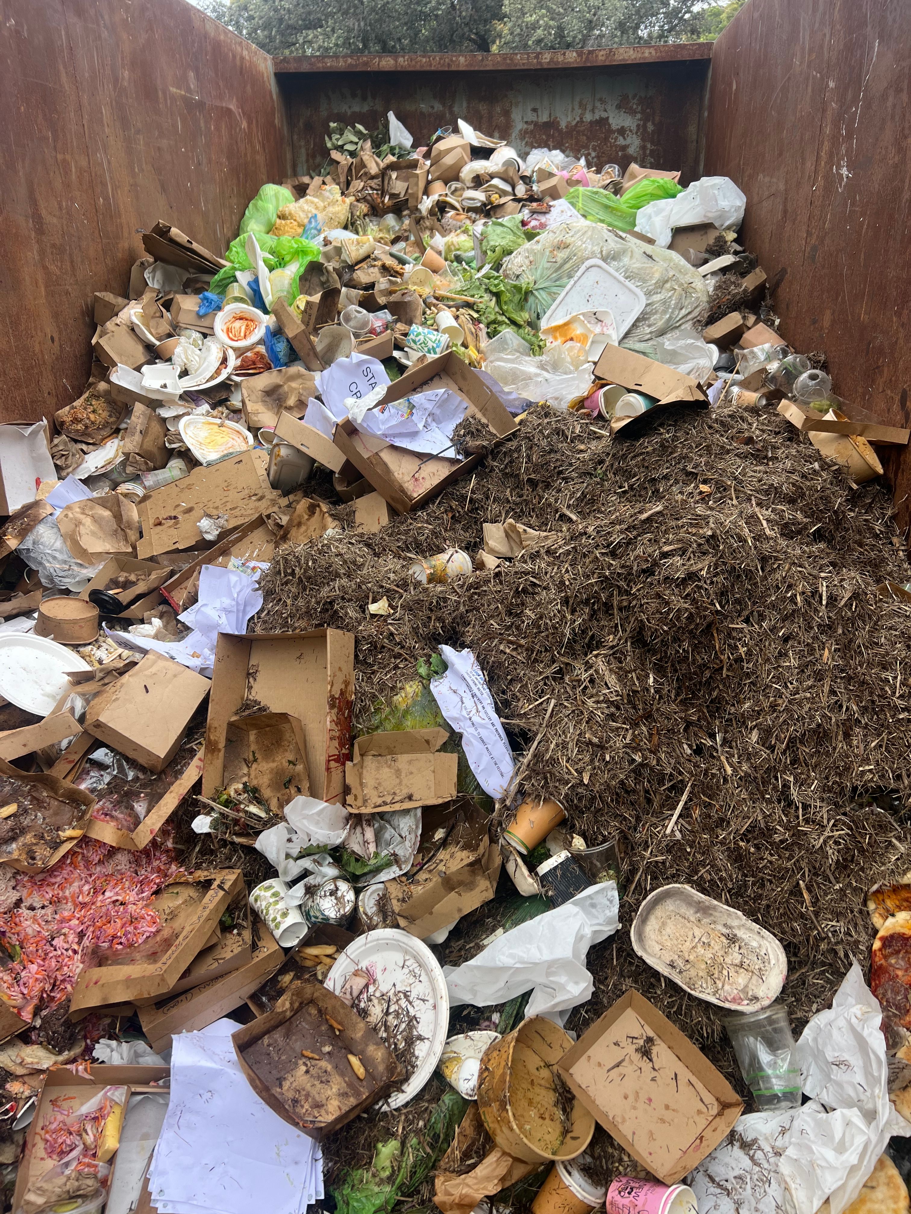 Organic Waste in a Skip Bin 