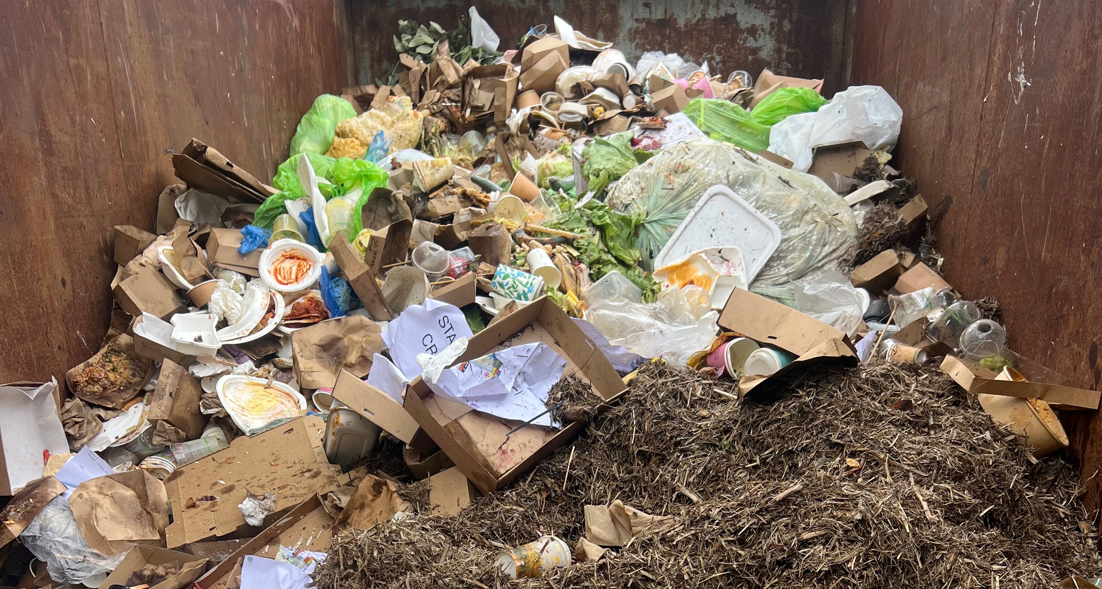 Organic Waste in a Skip Bin