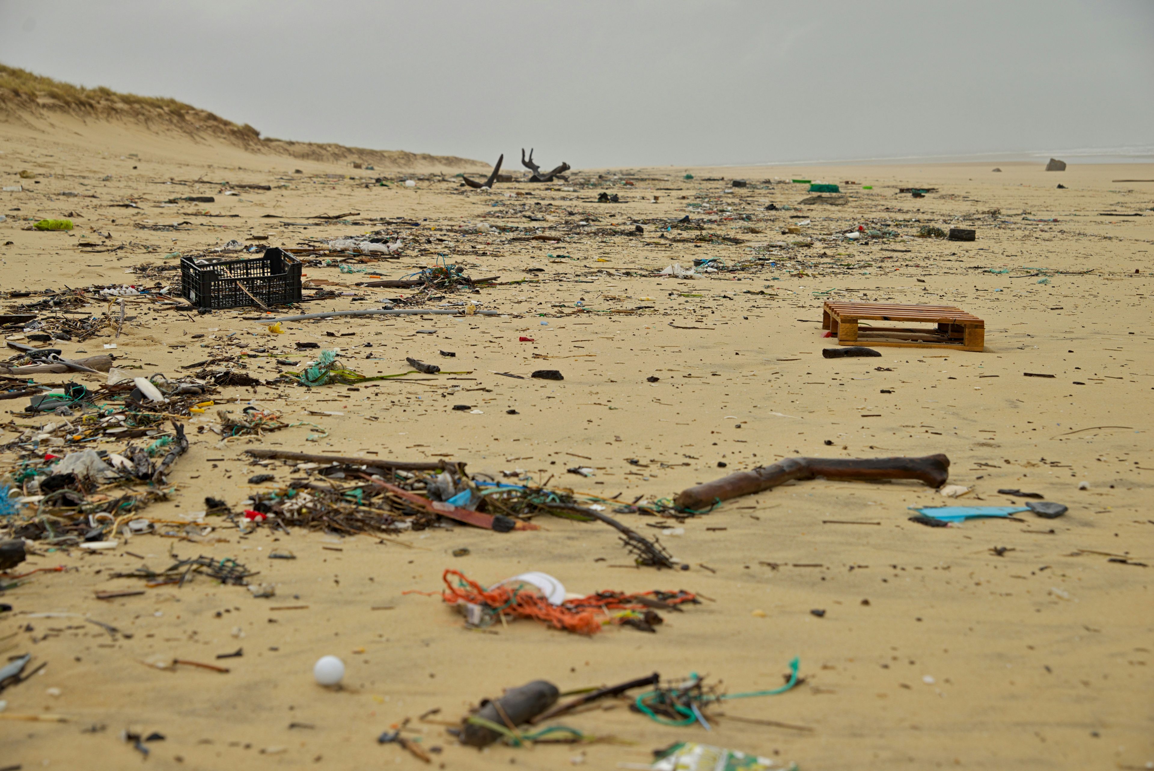 Micro-plastic pollution on a beach