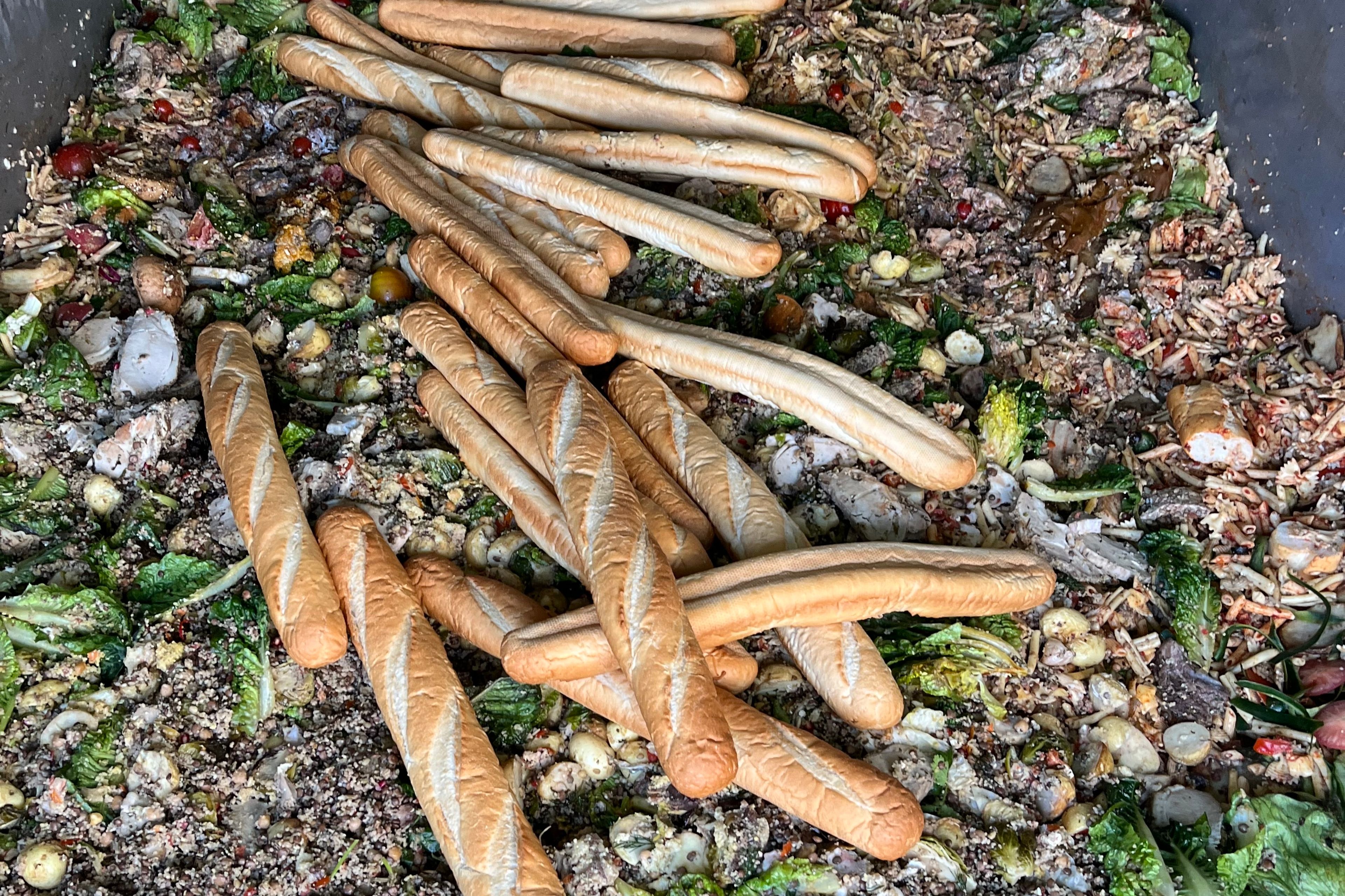 Organic waste in skip bin operated by Clean Vibes and Bio Bin