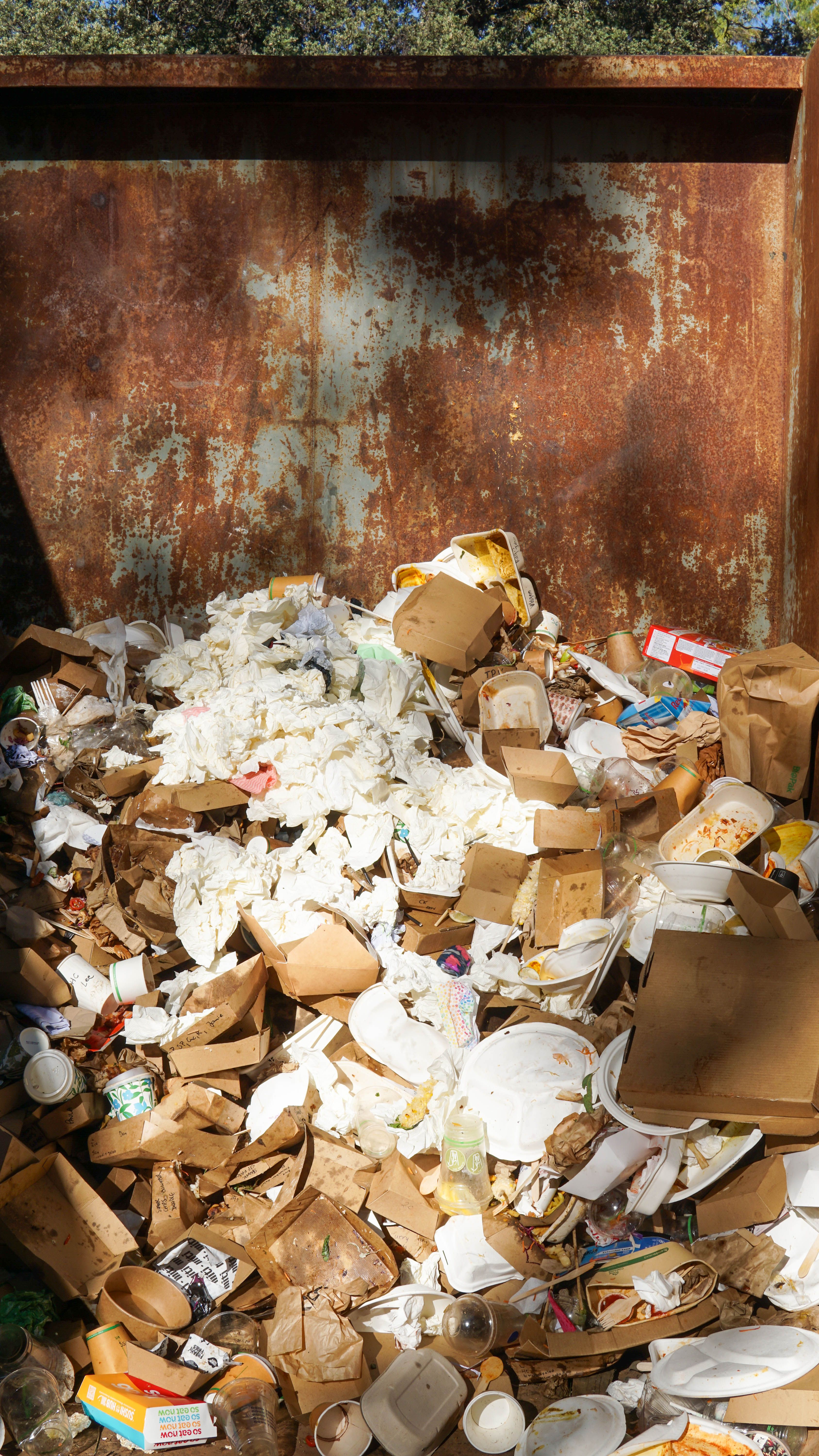 Organic Skip at WOMADelaide