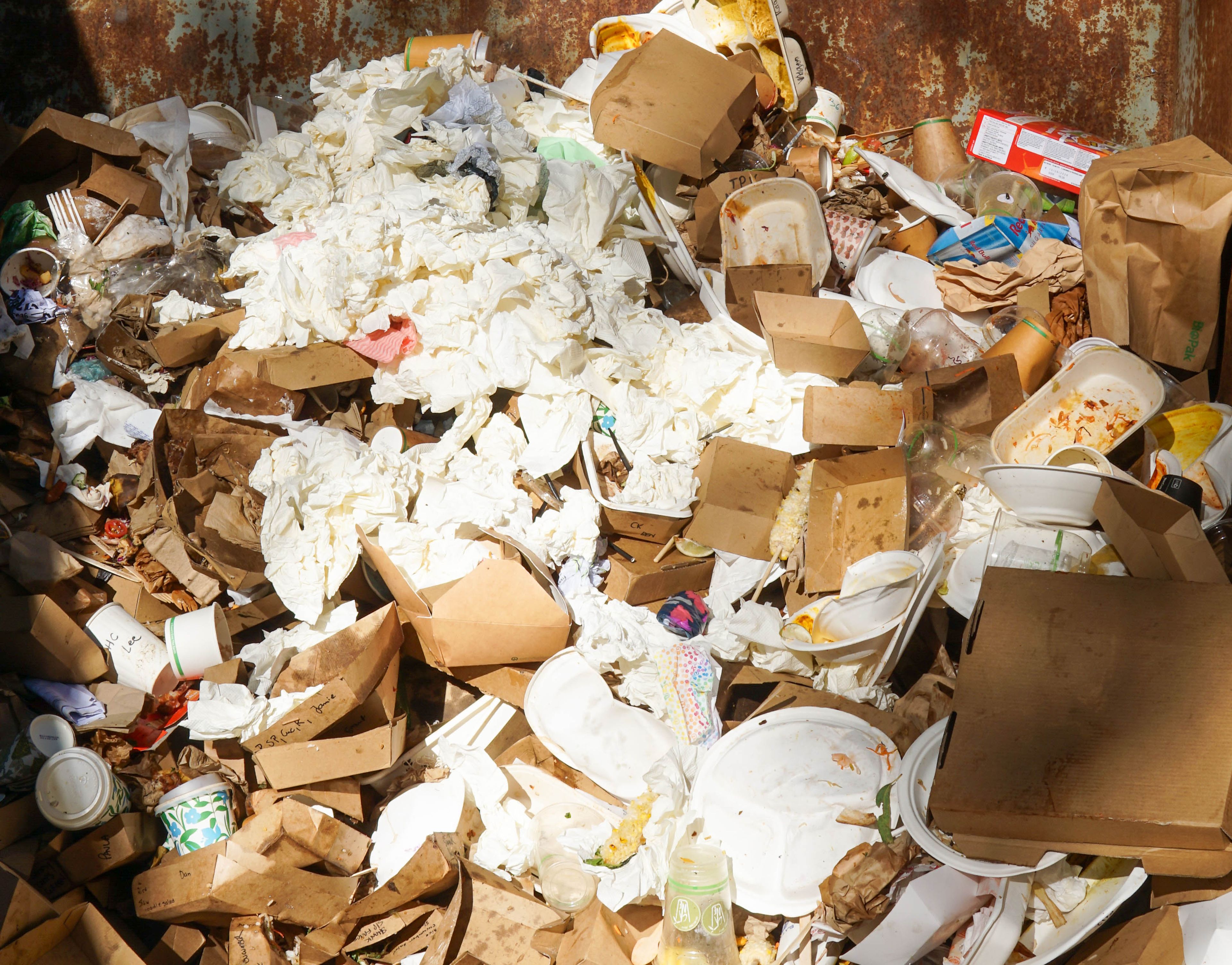 Organic Skip at WOMADelaide