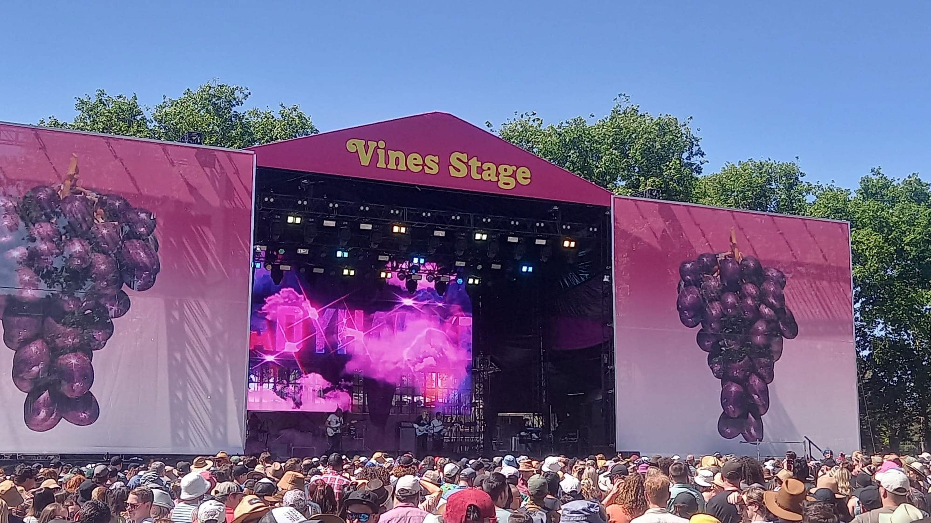 Vines stage main stage