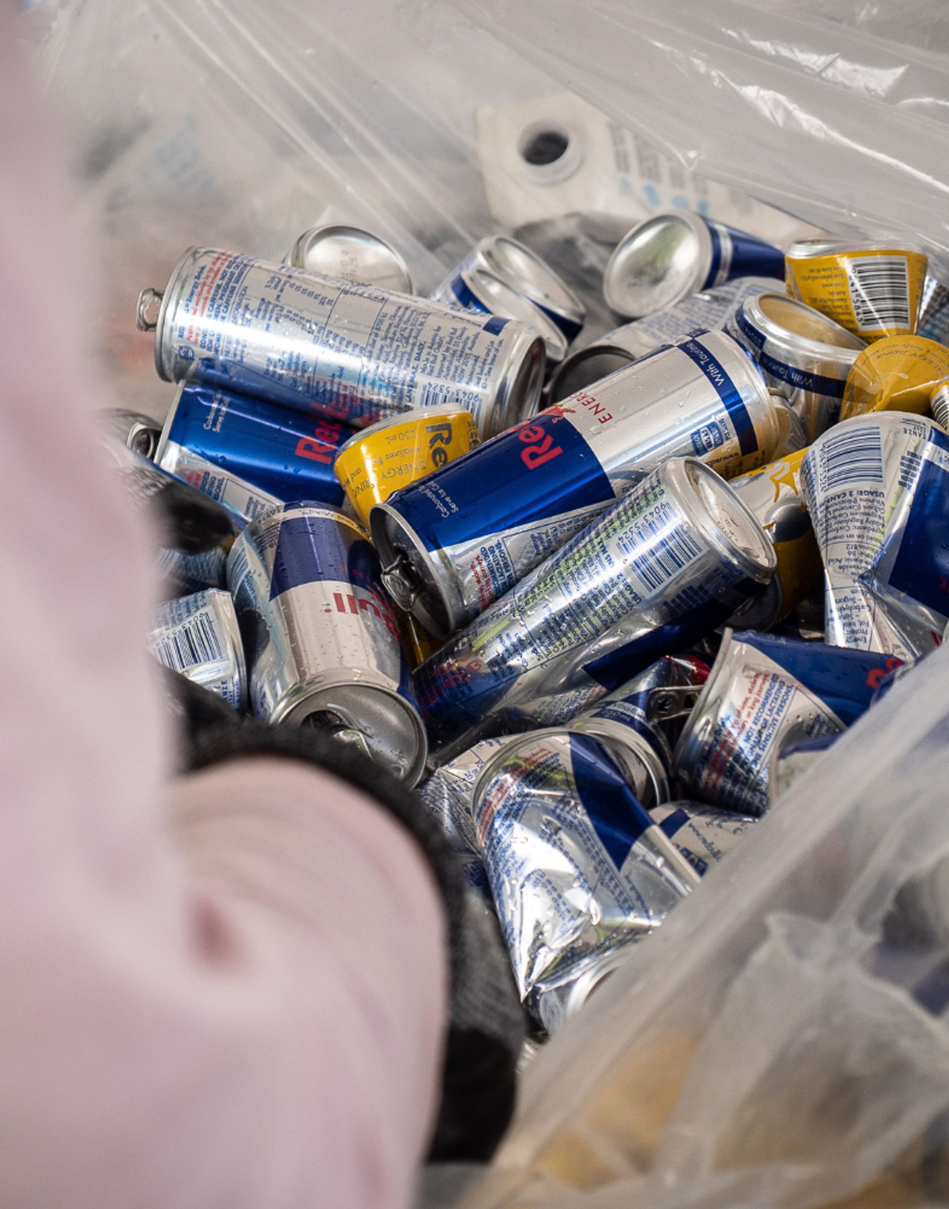 Staff sorting through bag of drink containers