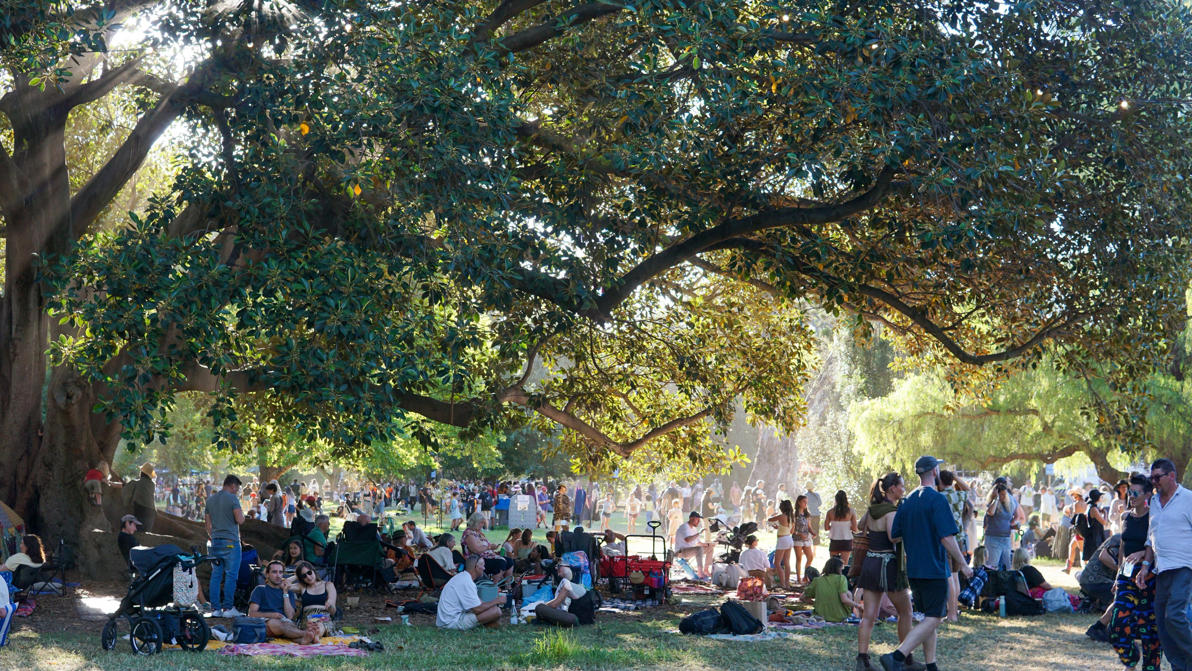 WOMADelaide