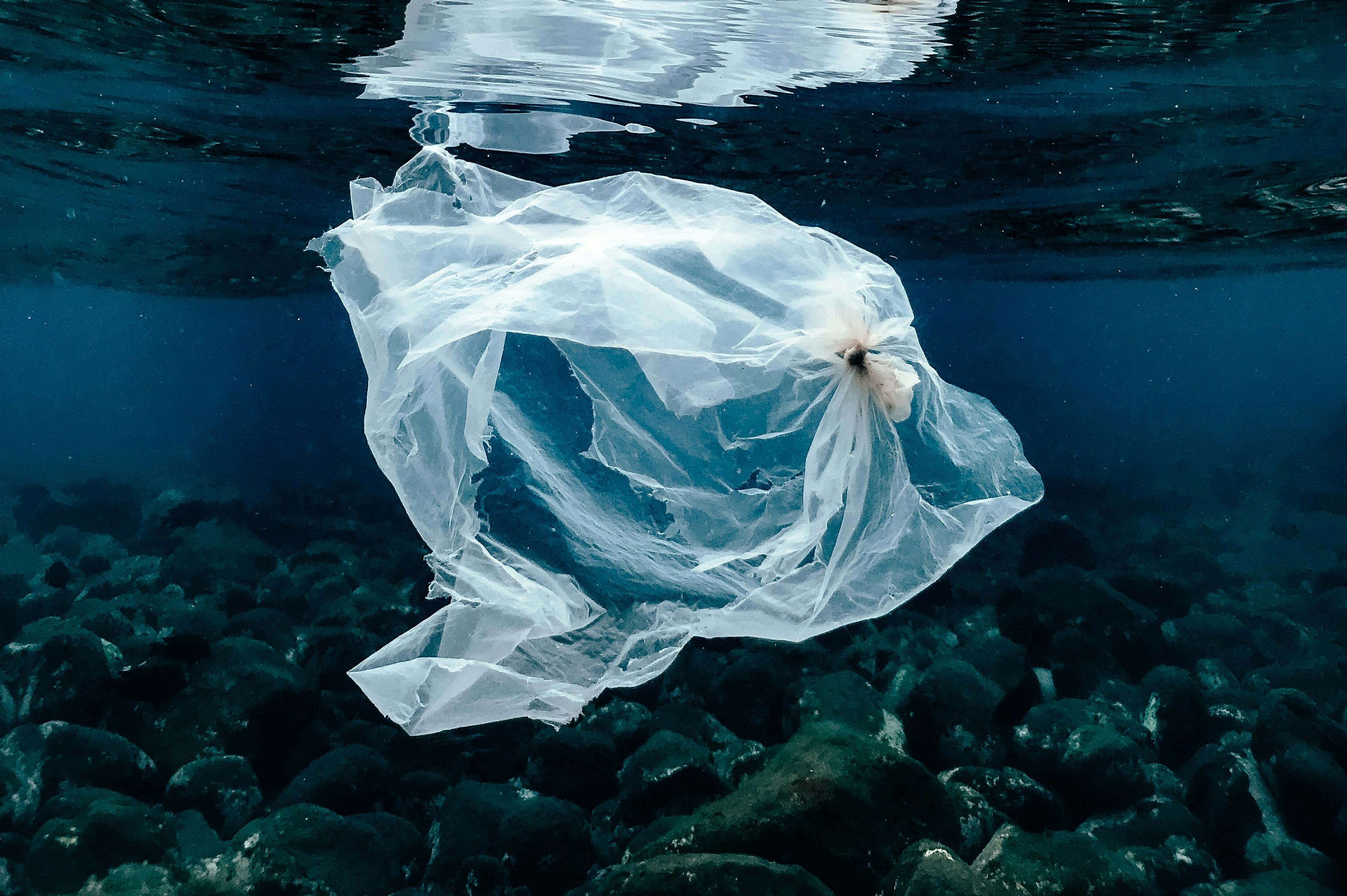Plastic bag floating in ocean