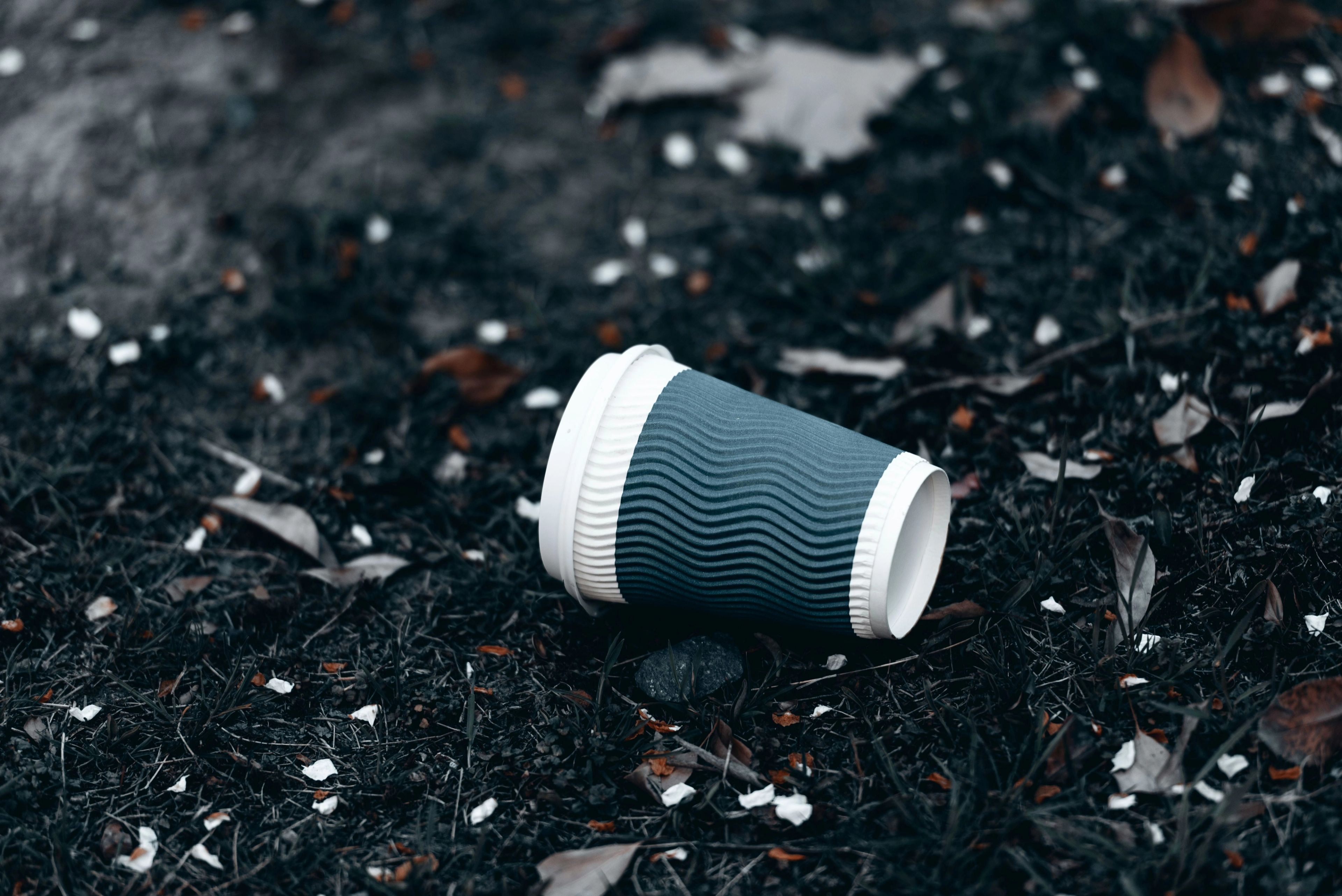 Coffee shop cup on the floor