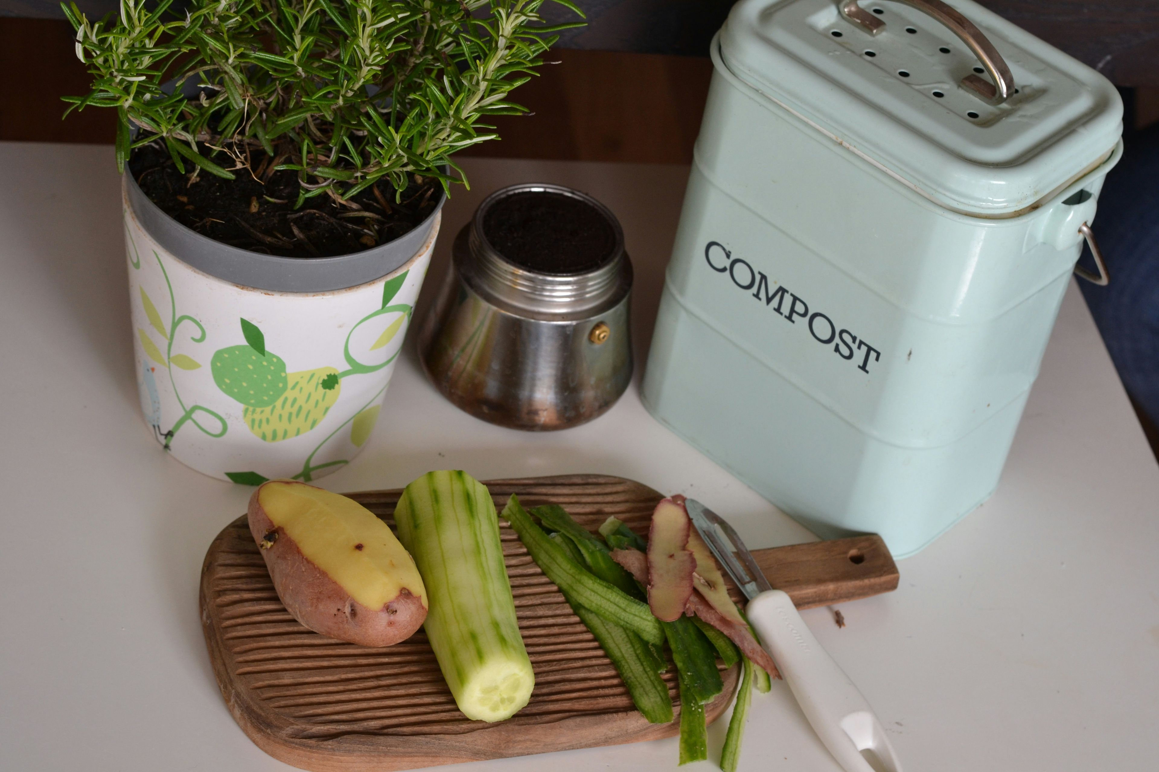 Compost bin and veggies