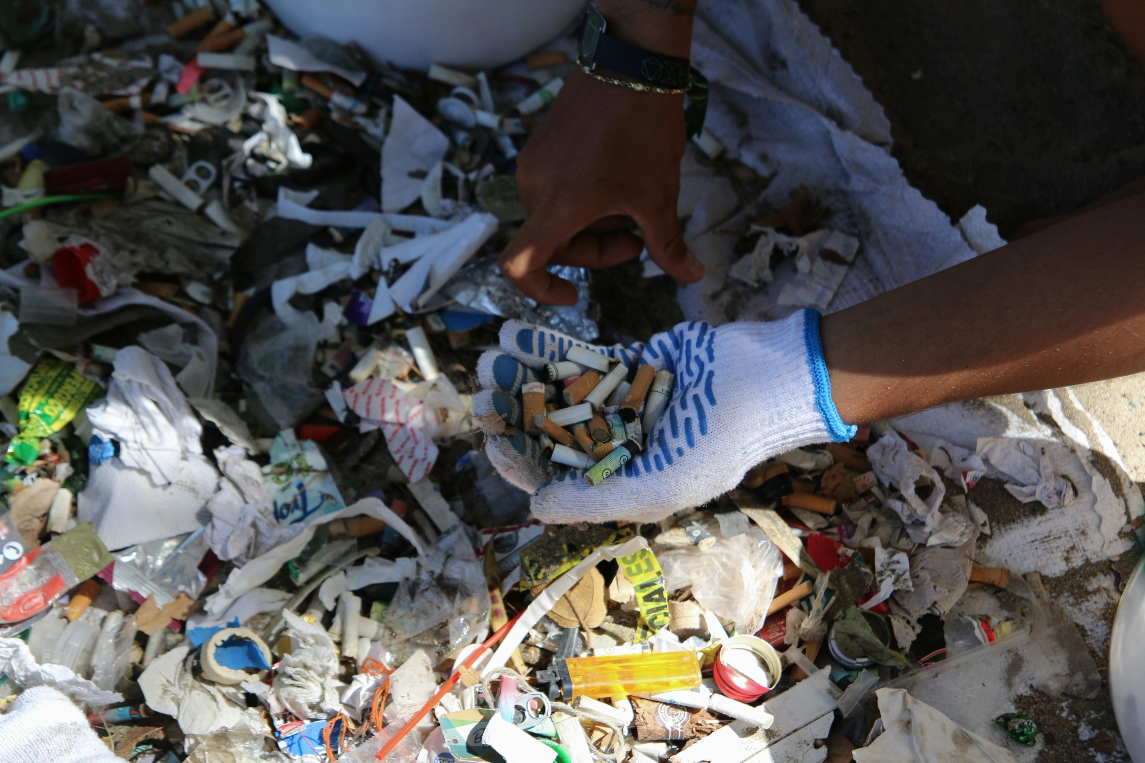 Waste audit
