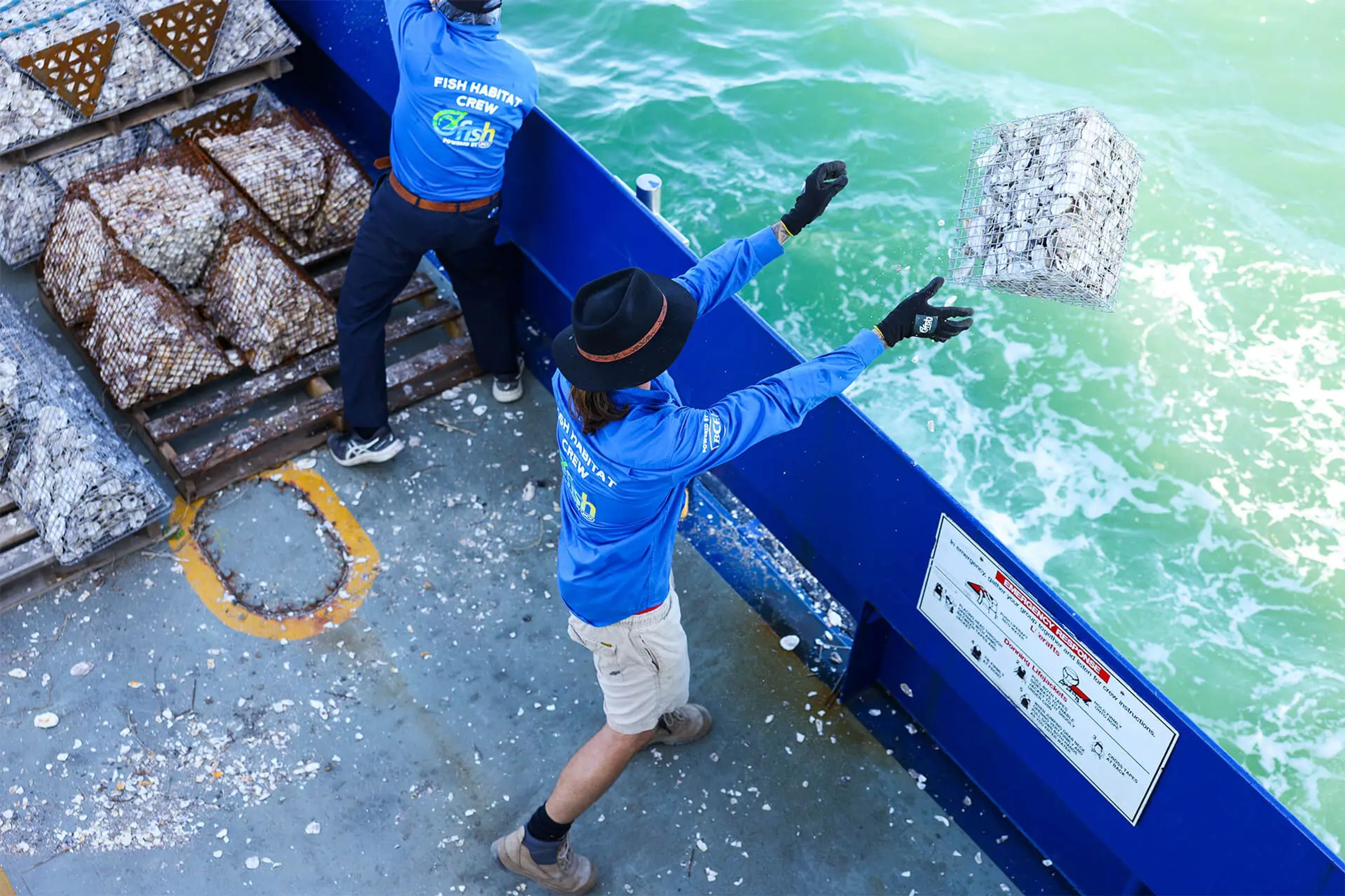 OzFish deploying oyster shells