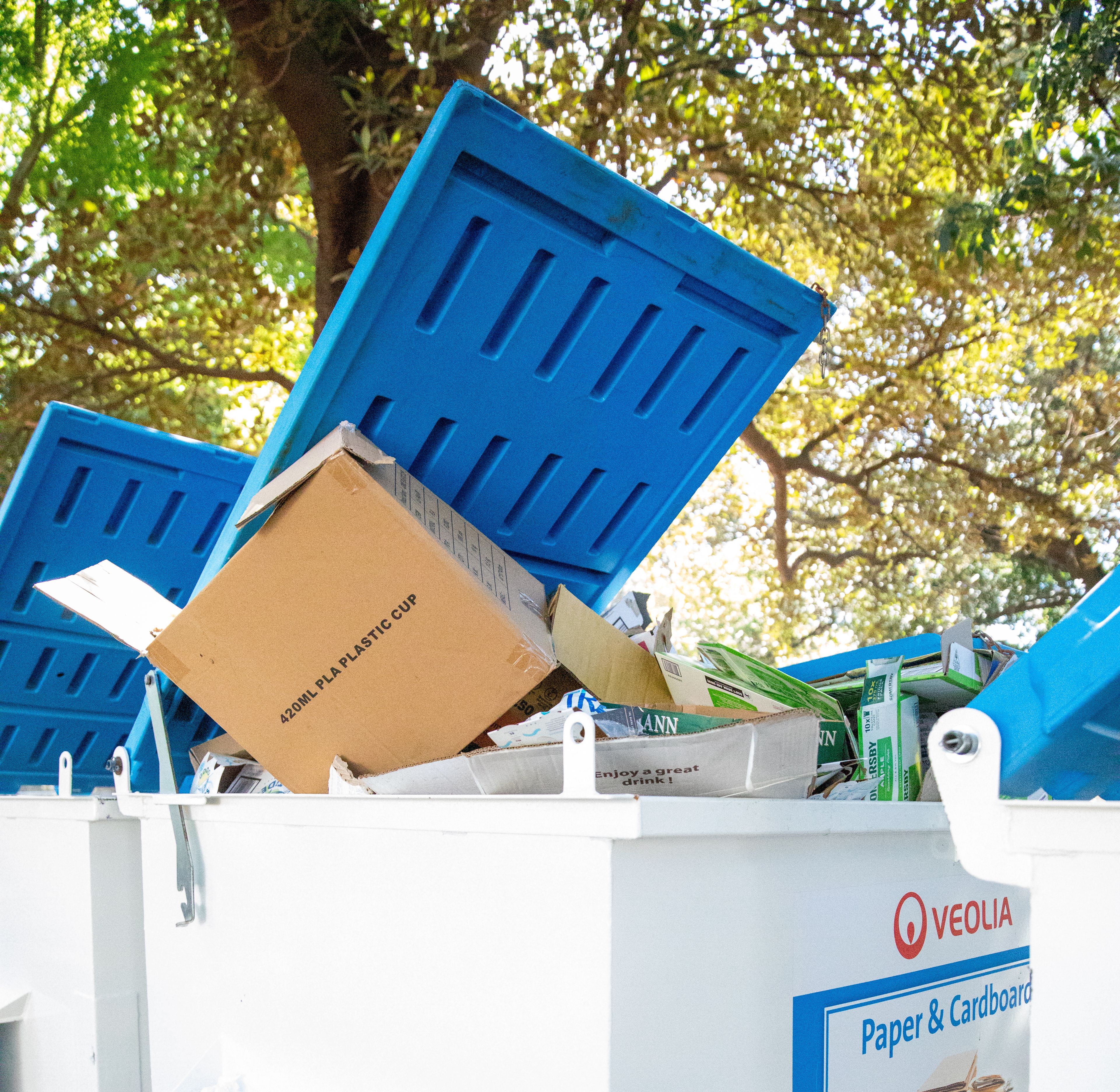 Skip bins full of carbaords