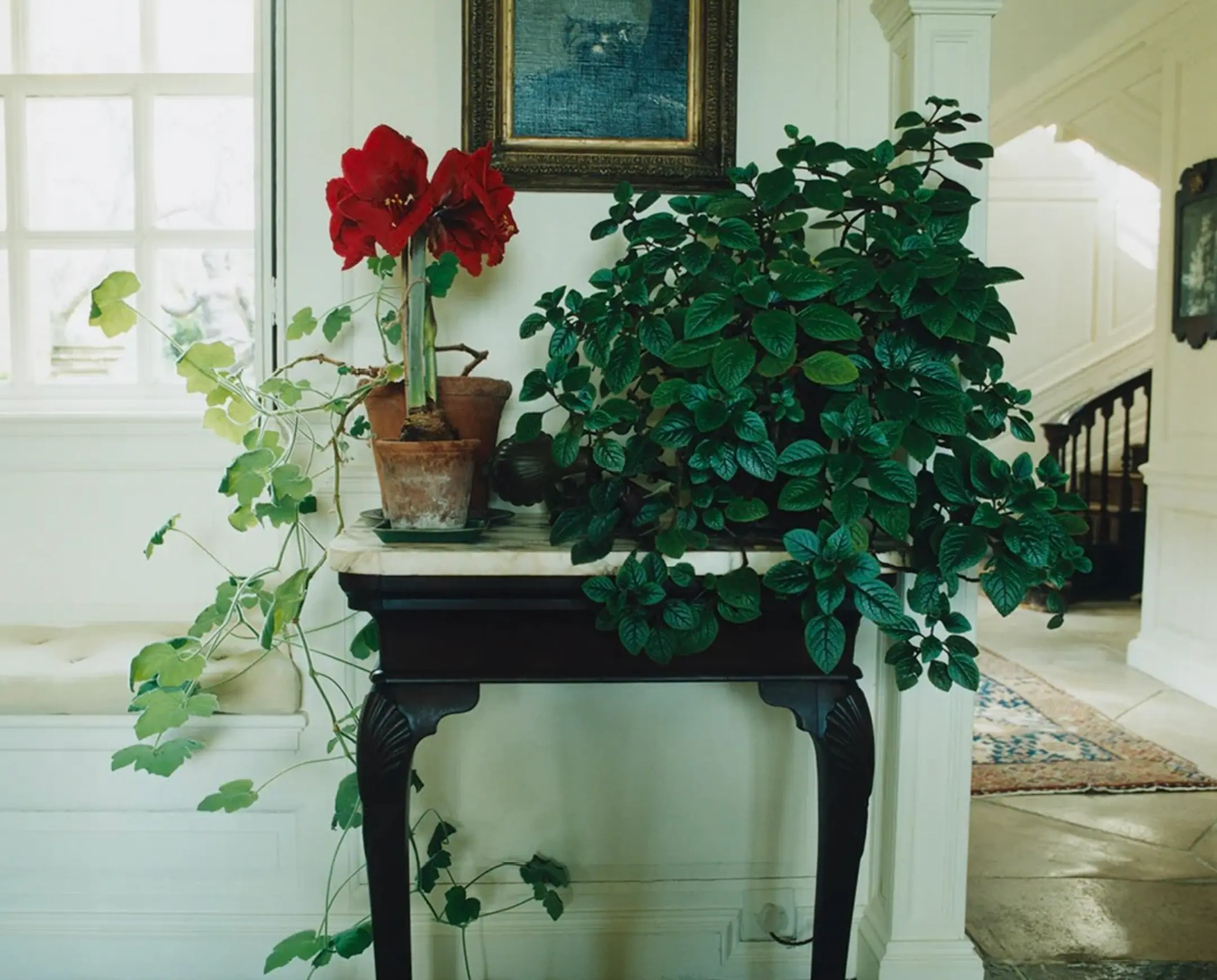 An image from Scenery magazine from inside a house with an antique wooden side take filled with a green plant and red flowers with terracotta pots looking into a cream painted grand house