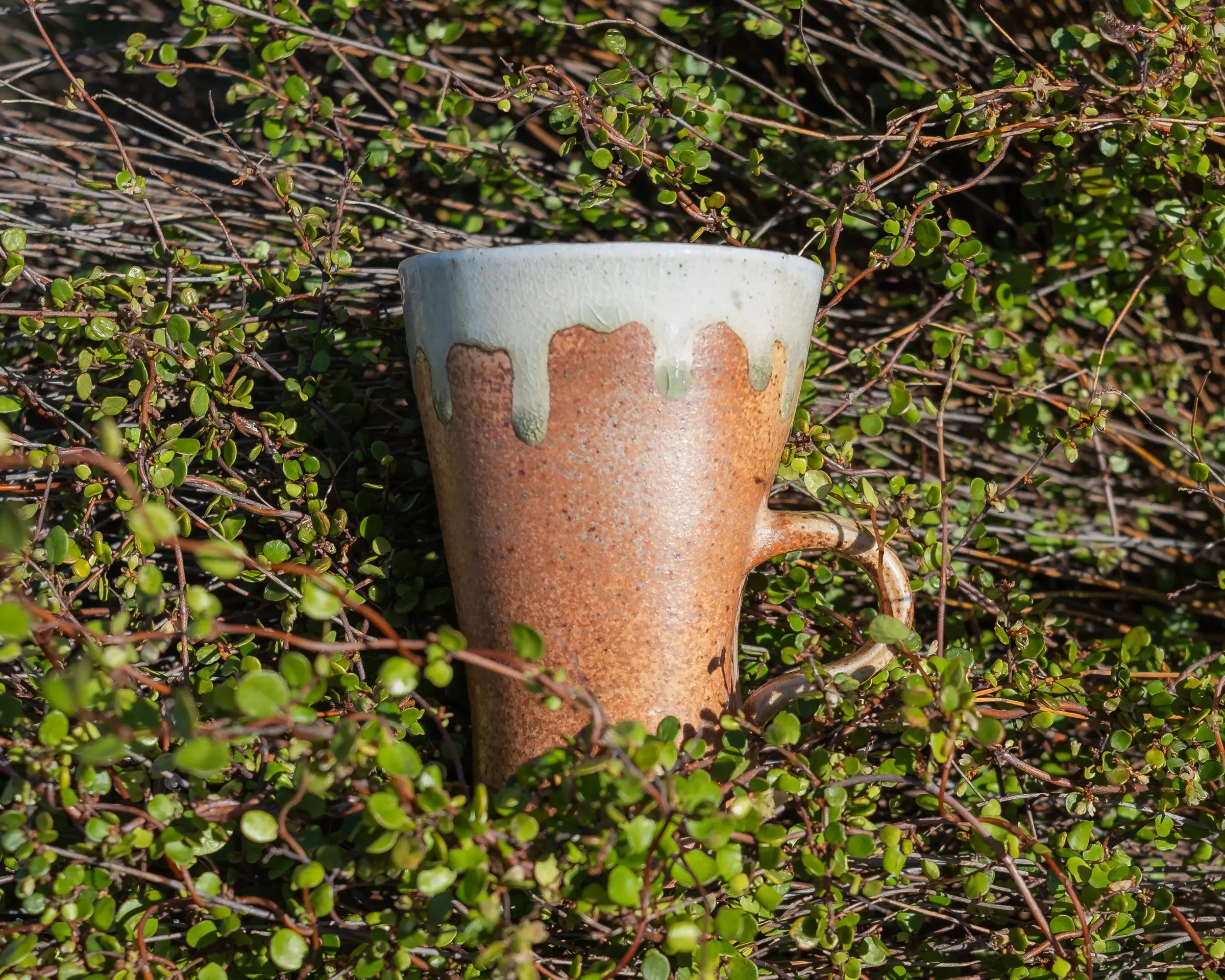 Kaiqi's wood fired ceramic straight posing mug sitting amongst greenery in the New Zealand nature