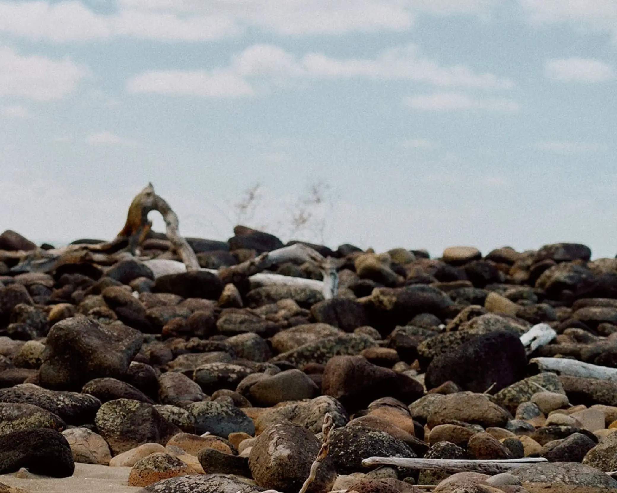 A rocky beach photo in Raglan, New Zealand
