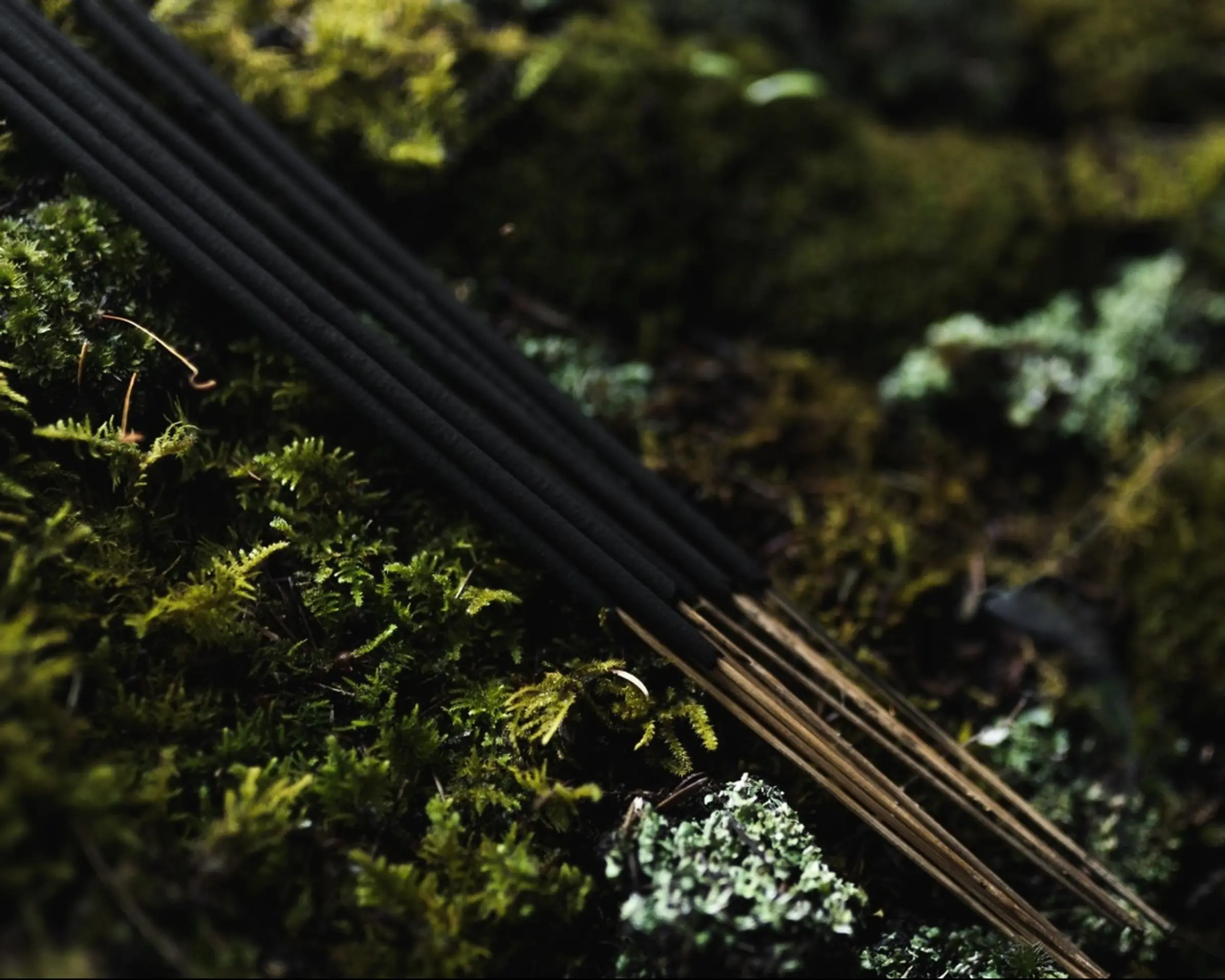 Incense sticks on a moss ground