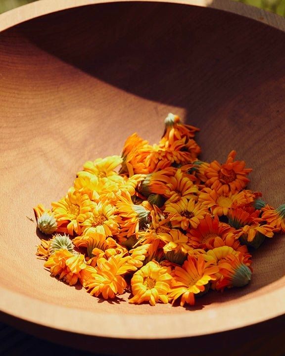 A Wooden bowl filled with Calendula Flowers, many of the botanicals used throughout the Tuétal collection begin in the studio garden, harvested and prepared by hand.