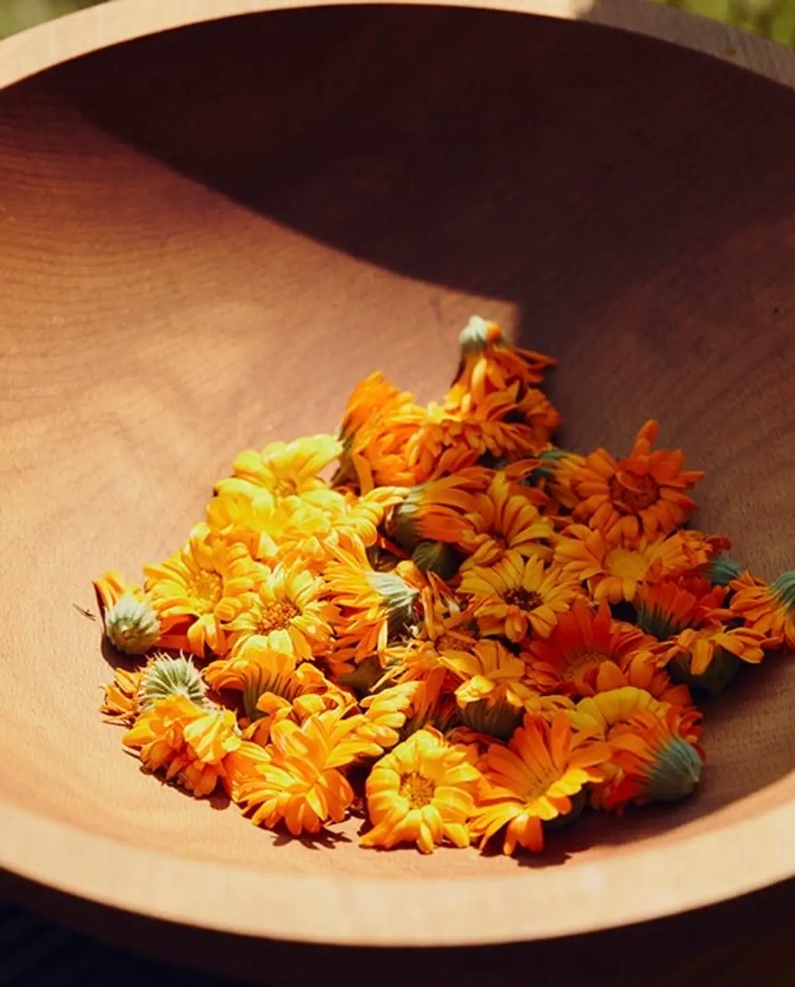 A Wooden bowl filled with Calendula Flowers, many of the botanicals used throughout the Tuétal collection begin in the studio garden, harvested and prepared by hand.