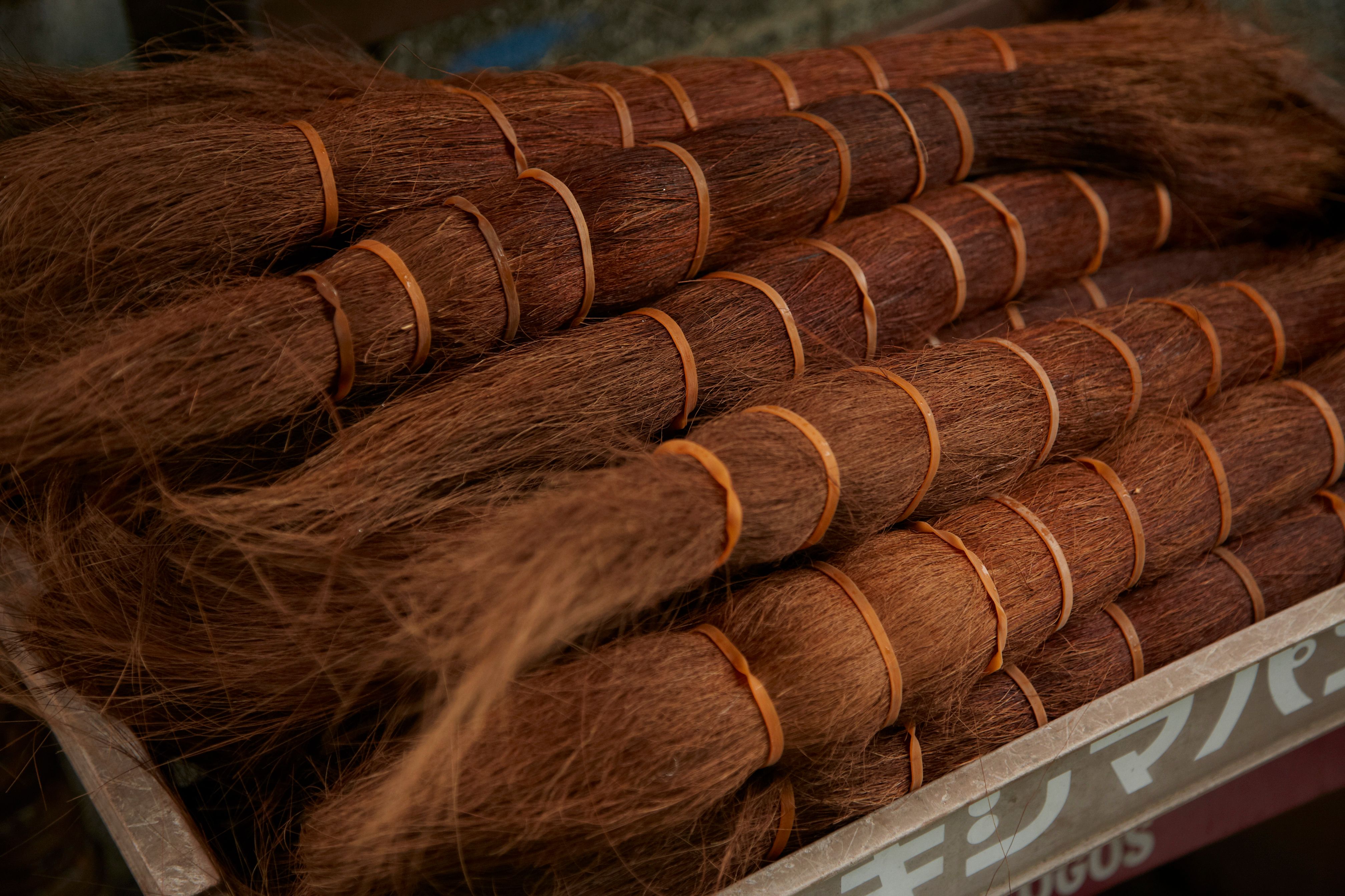 Palm fibre in bundle