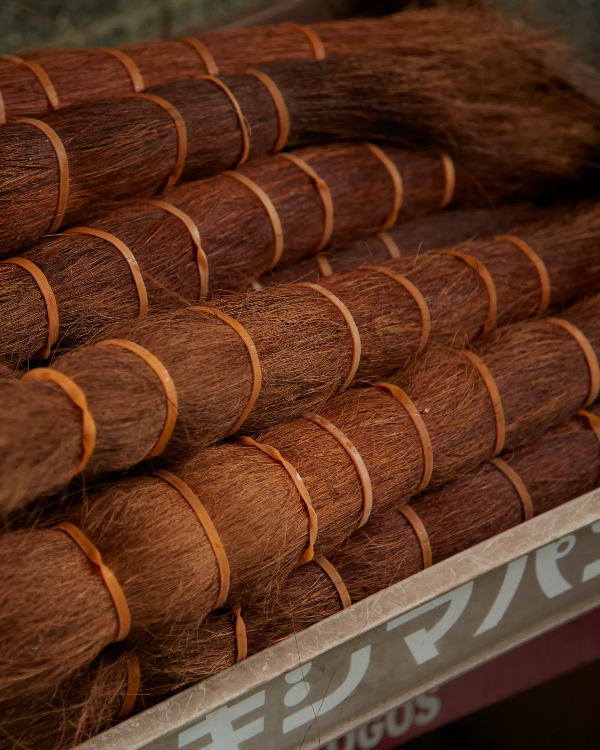 Palm fibre in bundle