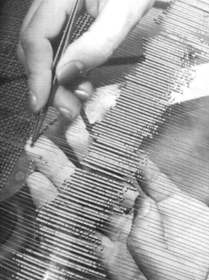 Handcrafted Modern Makers Hands