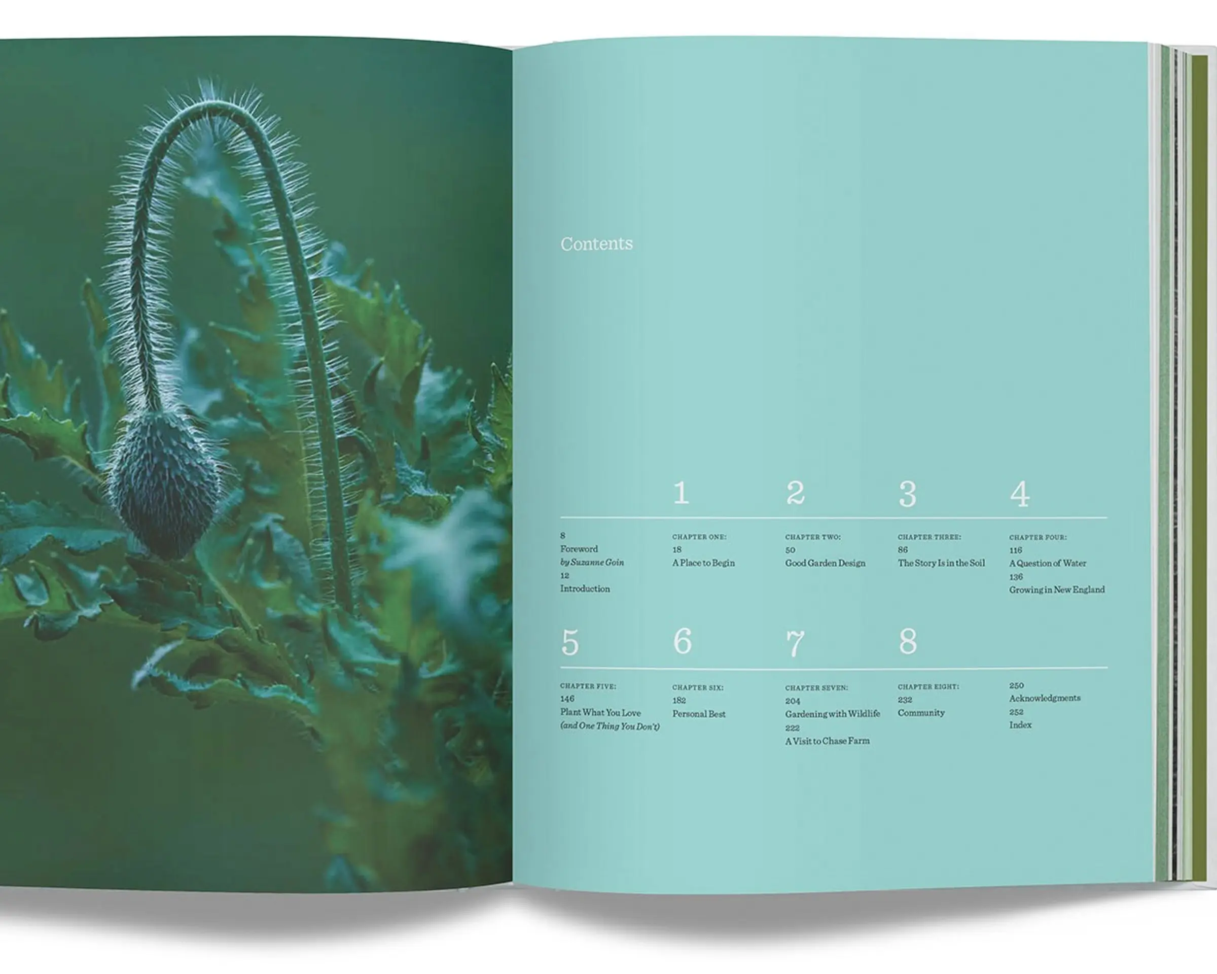 inside book