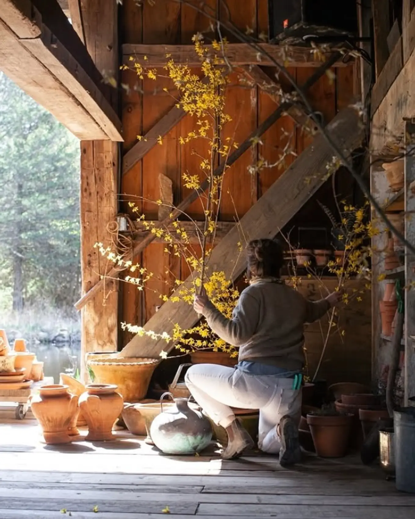 A woman flower arranging in a barn house with large branches into terracotta pots