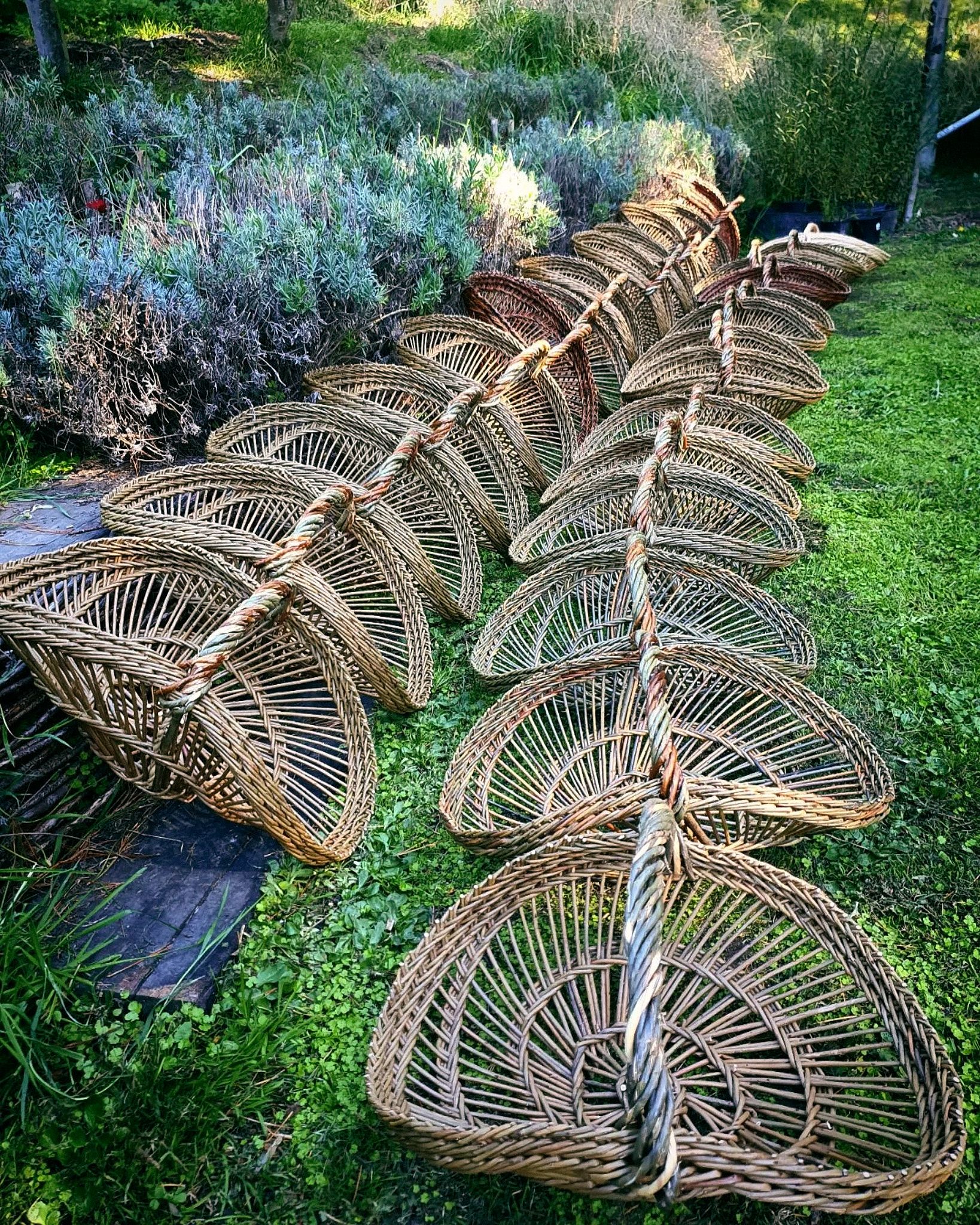 a collection of perigord baskets in a rural garden