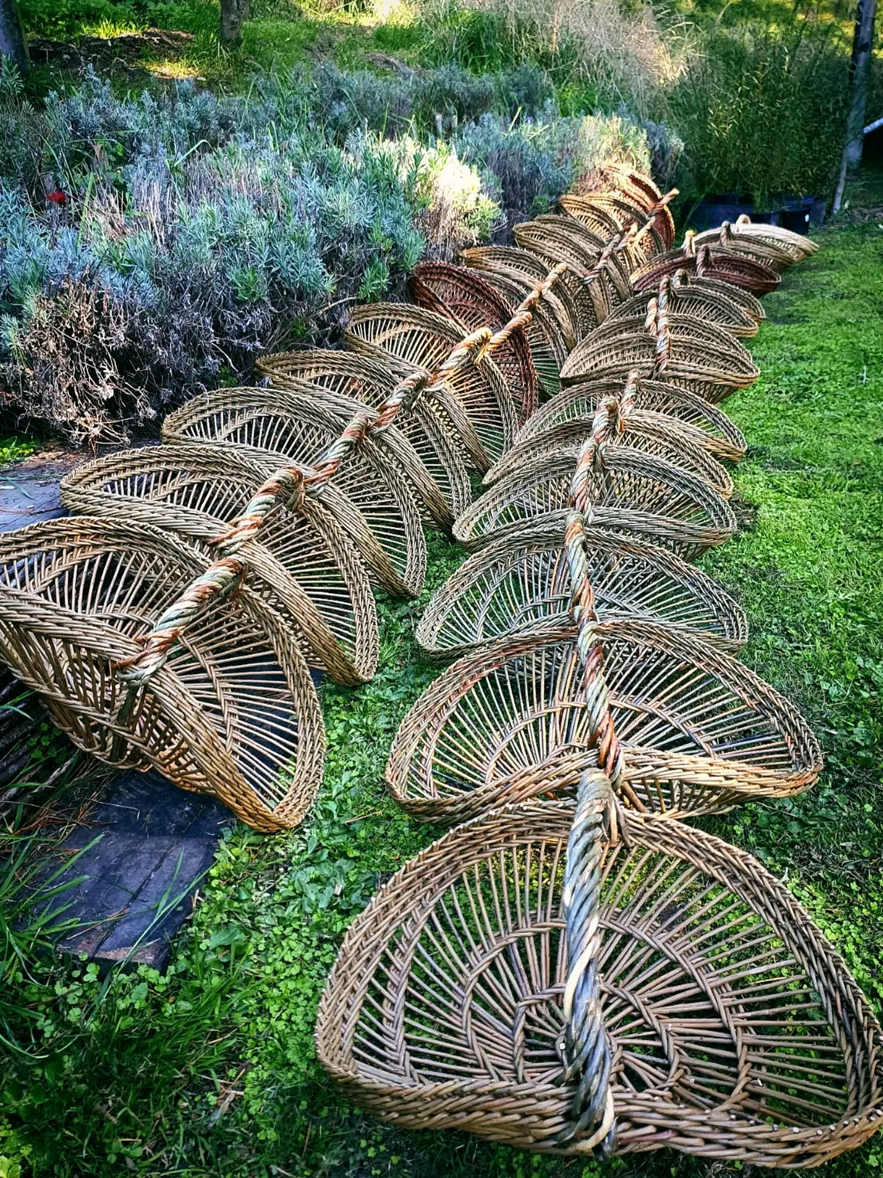 a collection of perigord baskets in a rural garden