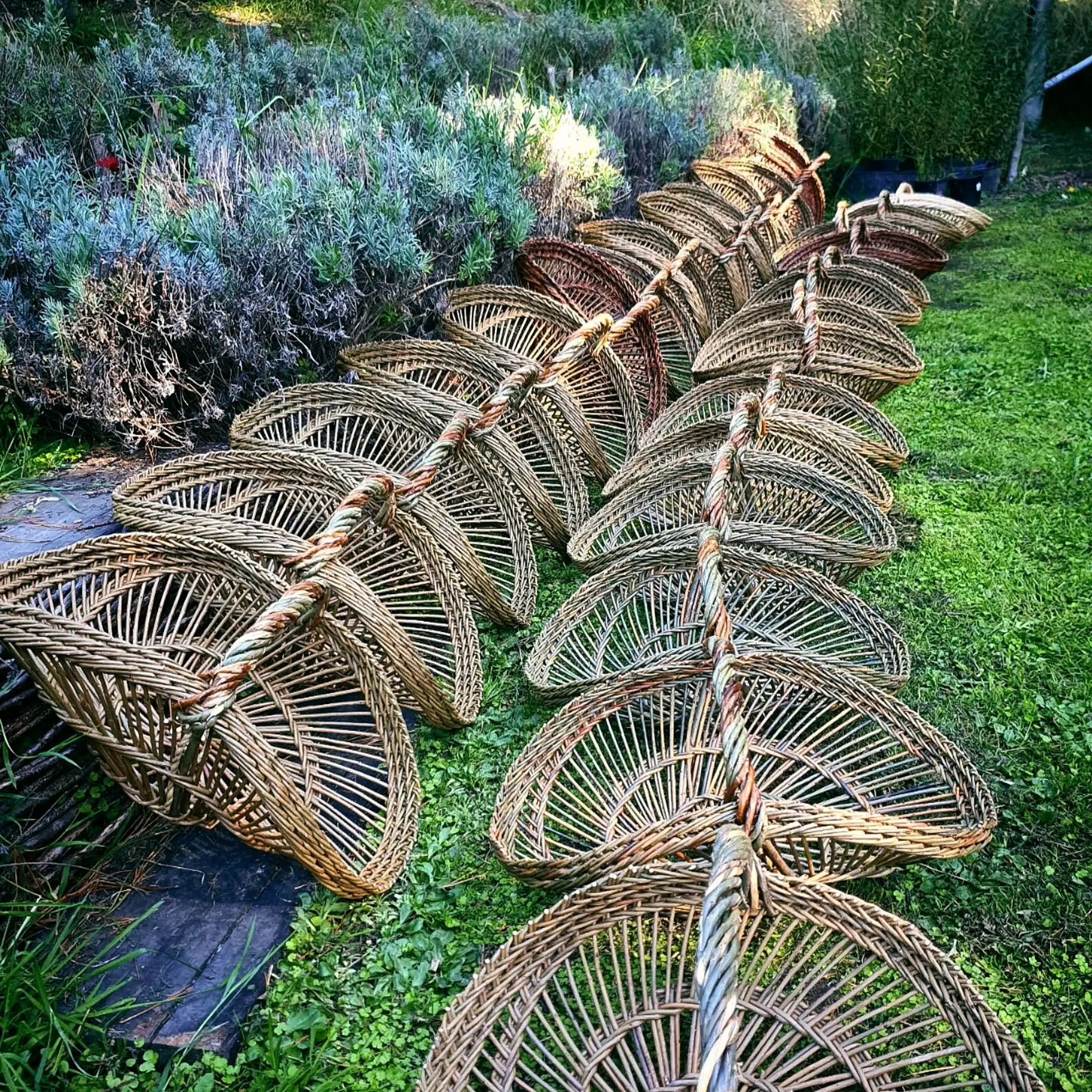 a collection of perigord baskets in a rural garden