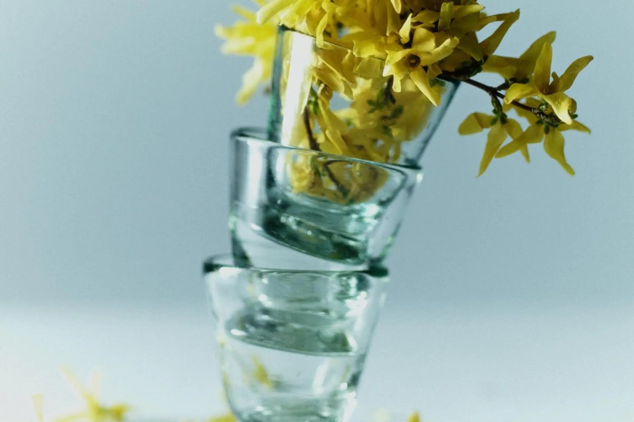 Flowers in a stack of three Taza glasses