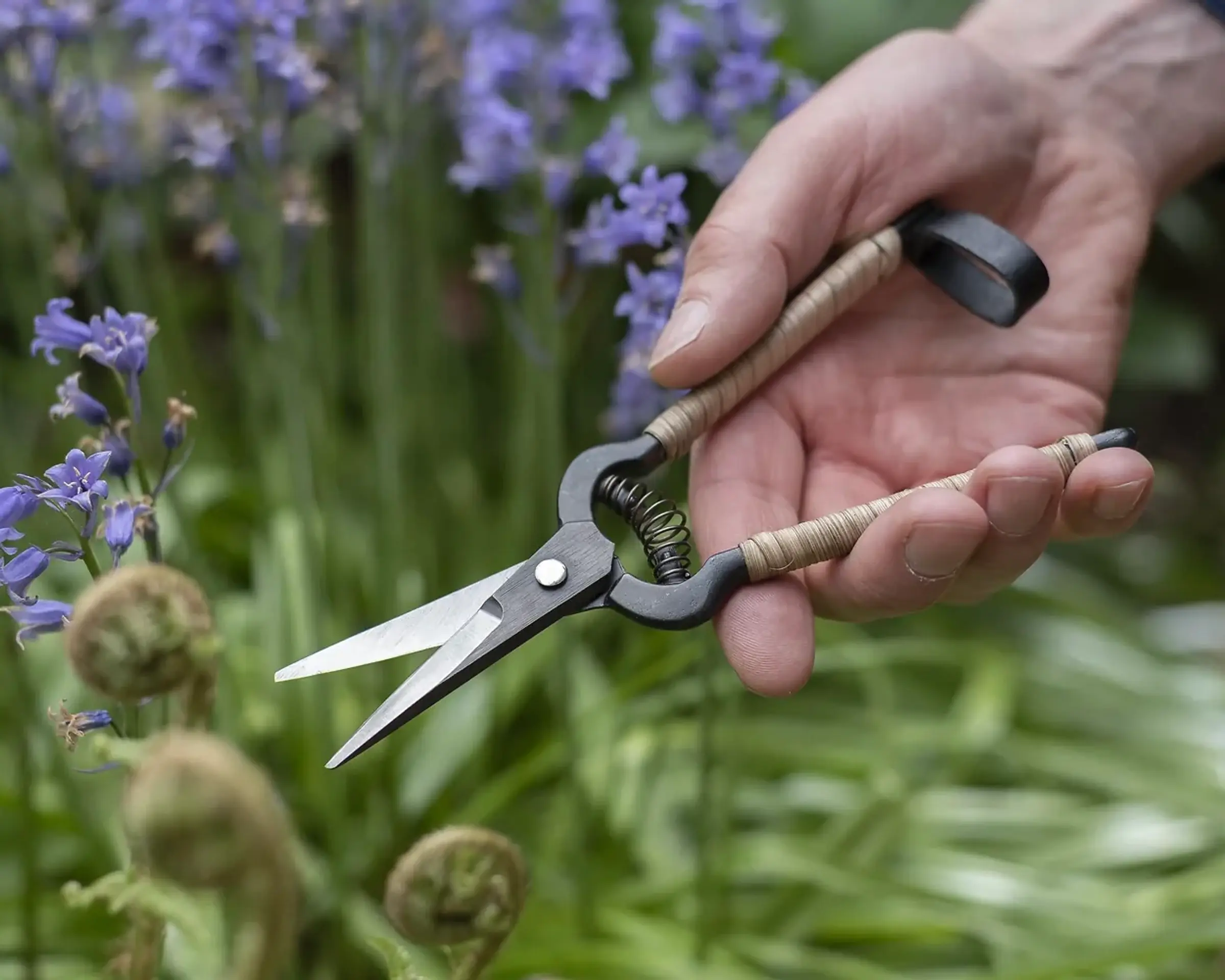 rattan snips in hands in a garden environment