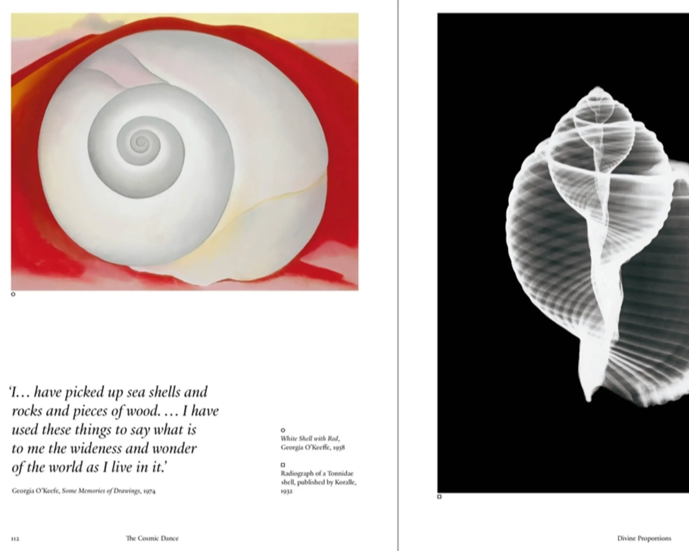 inside of the cosmic dance book