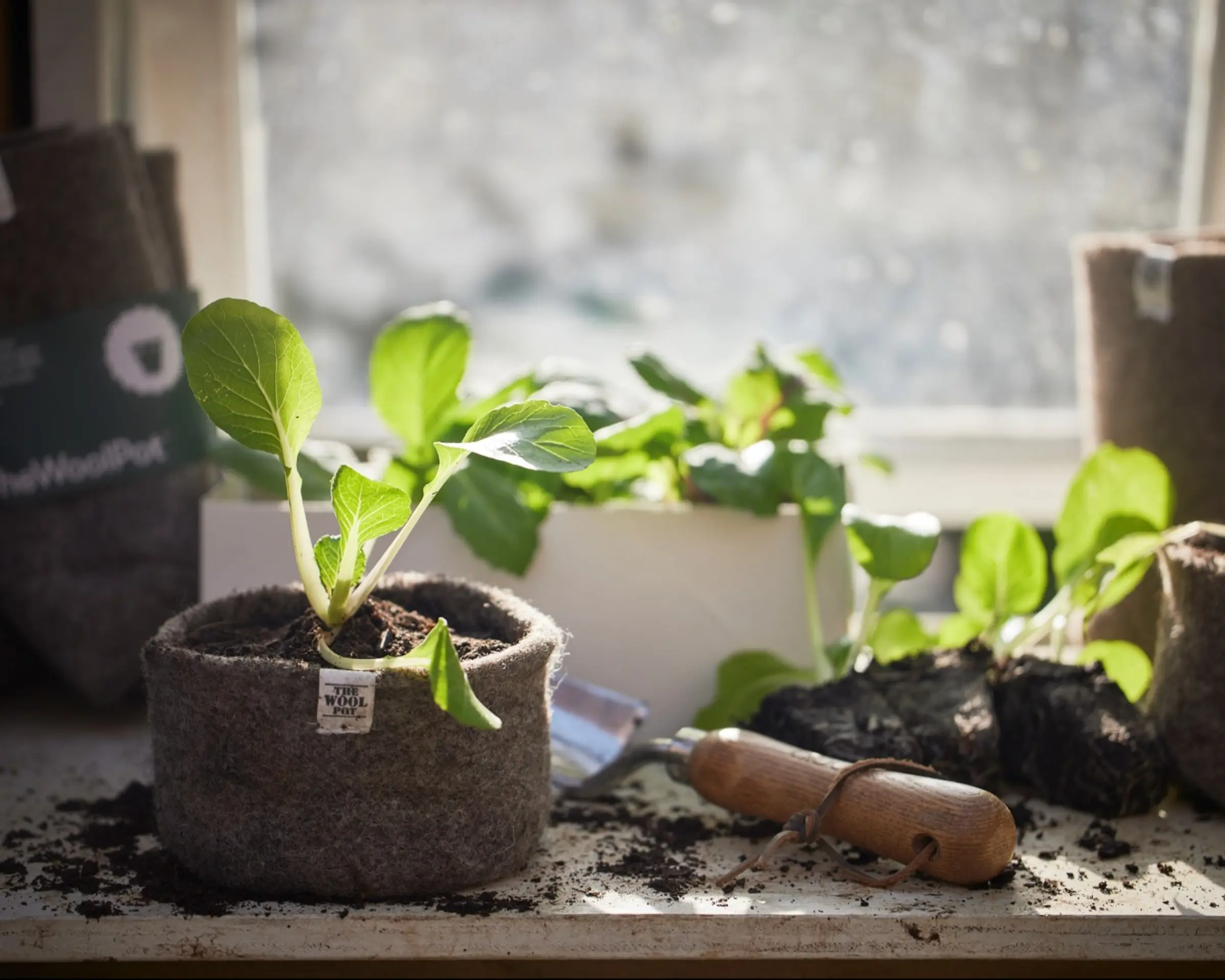 small woolpot on a work bench